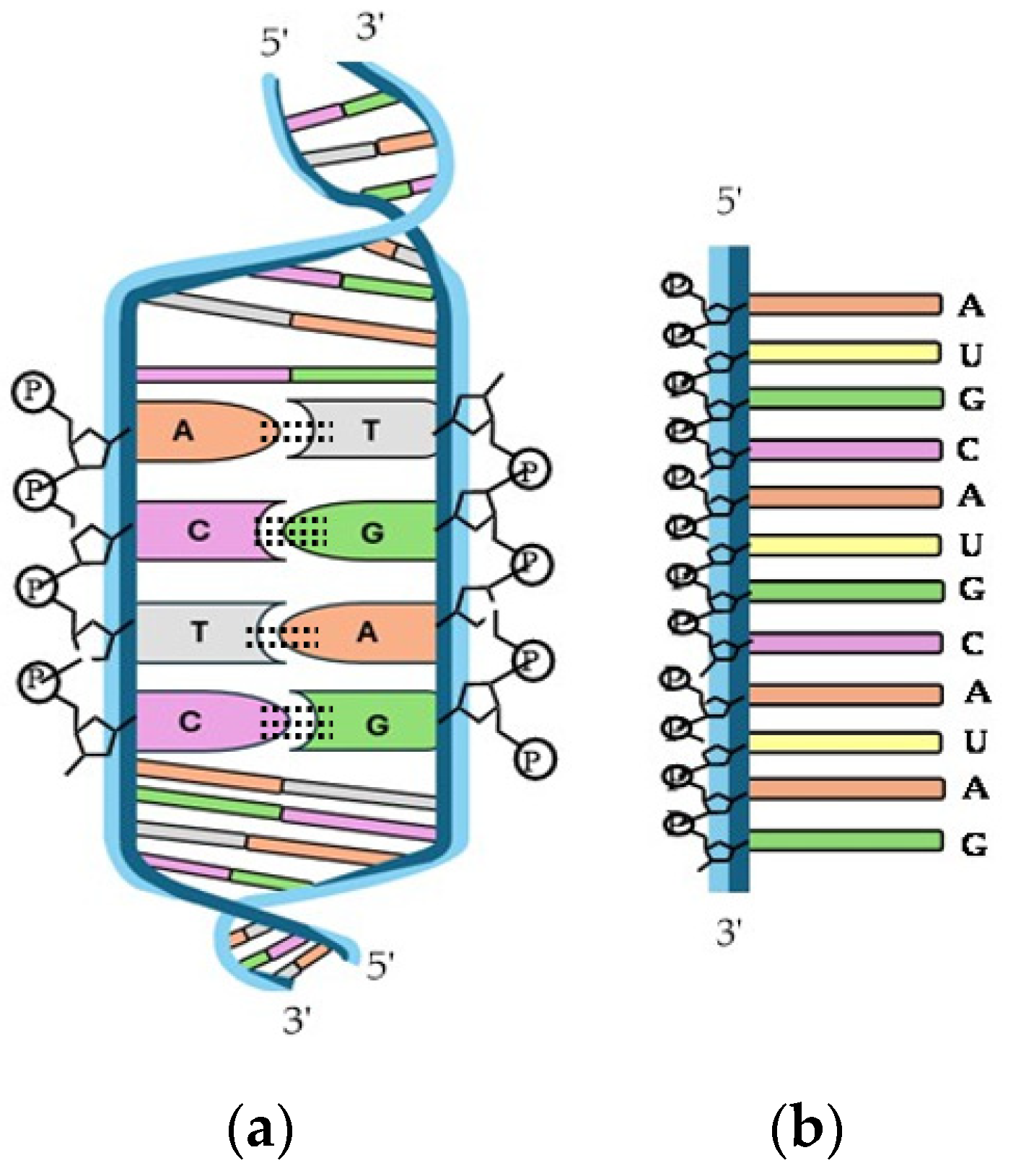 Molecules 29 04479 g010