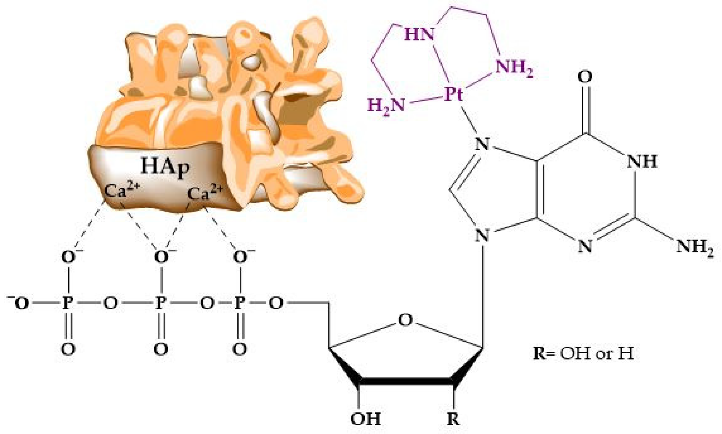 Molecules 29 04479 g011