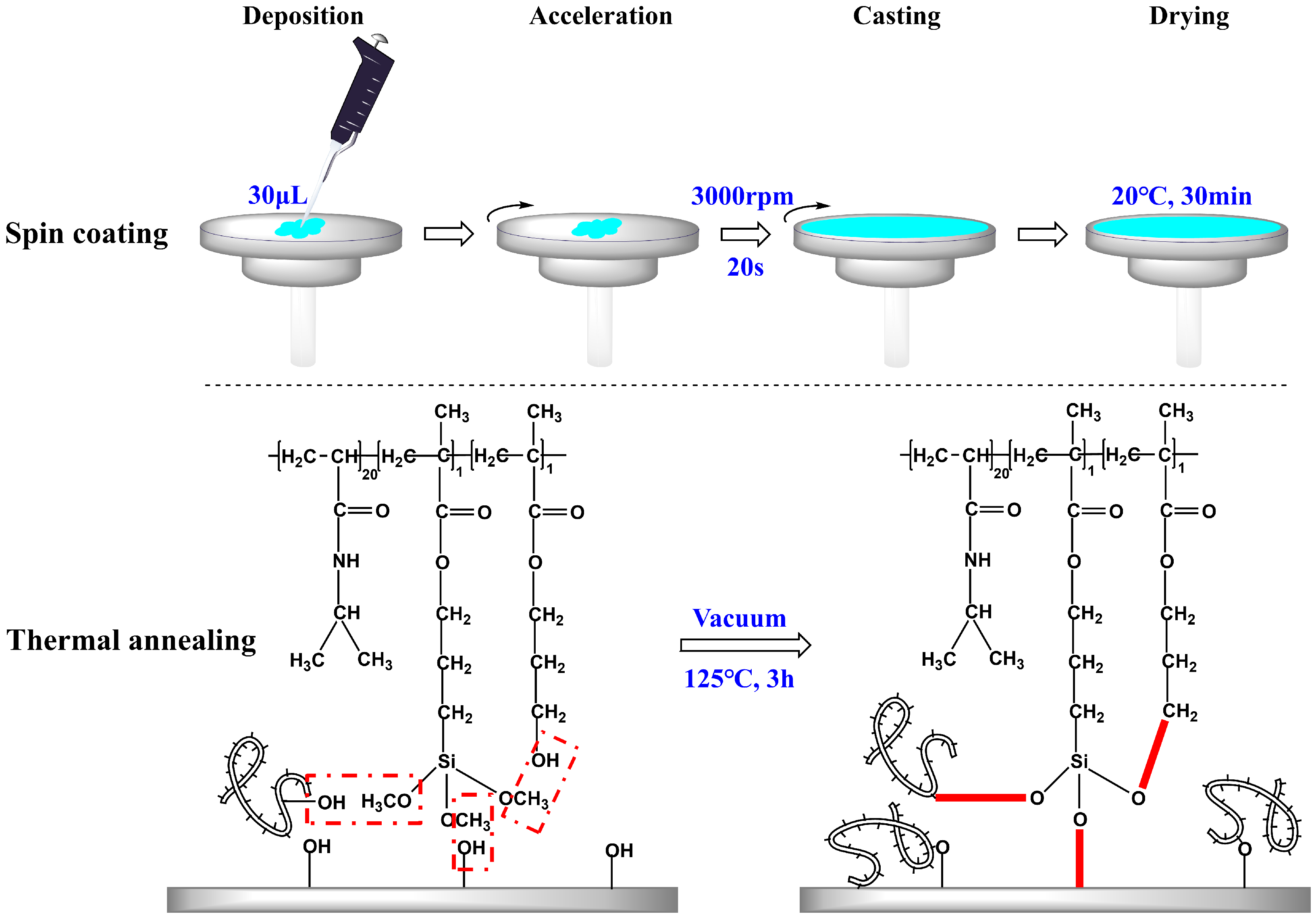 Molecules 29 04481 g001