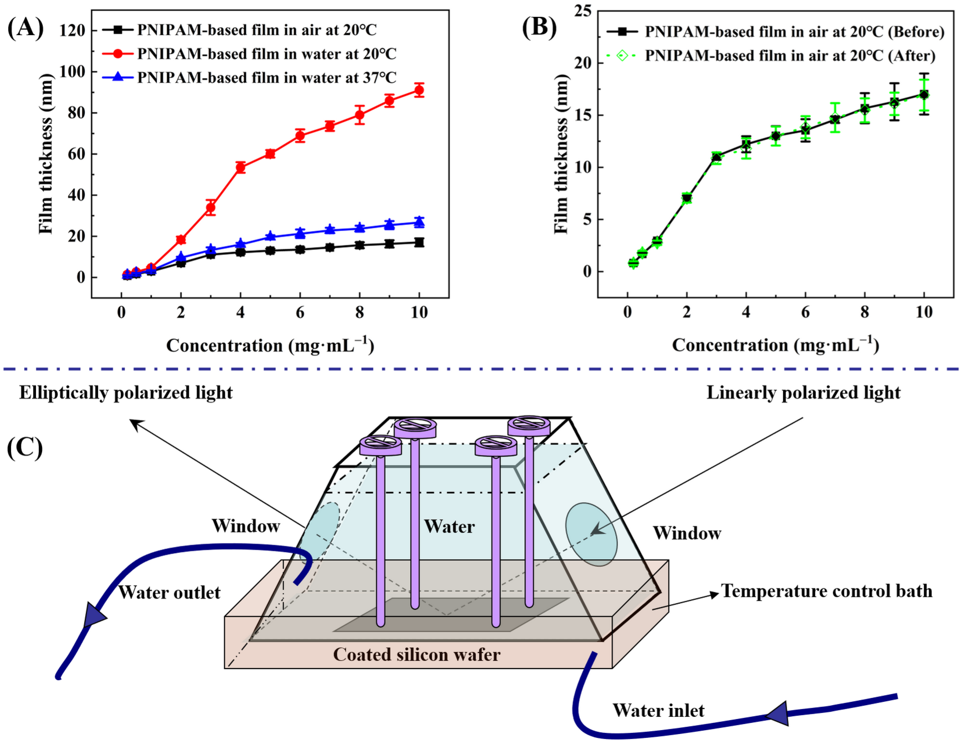 Molecules 29 04481 g004