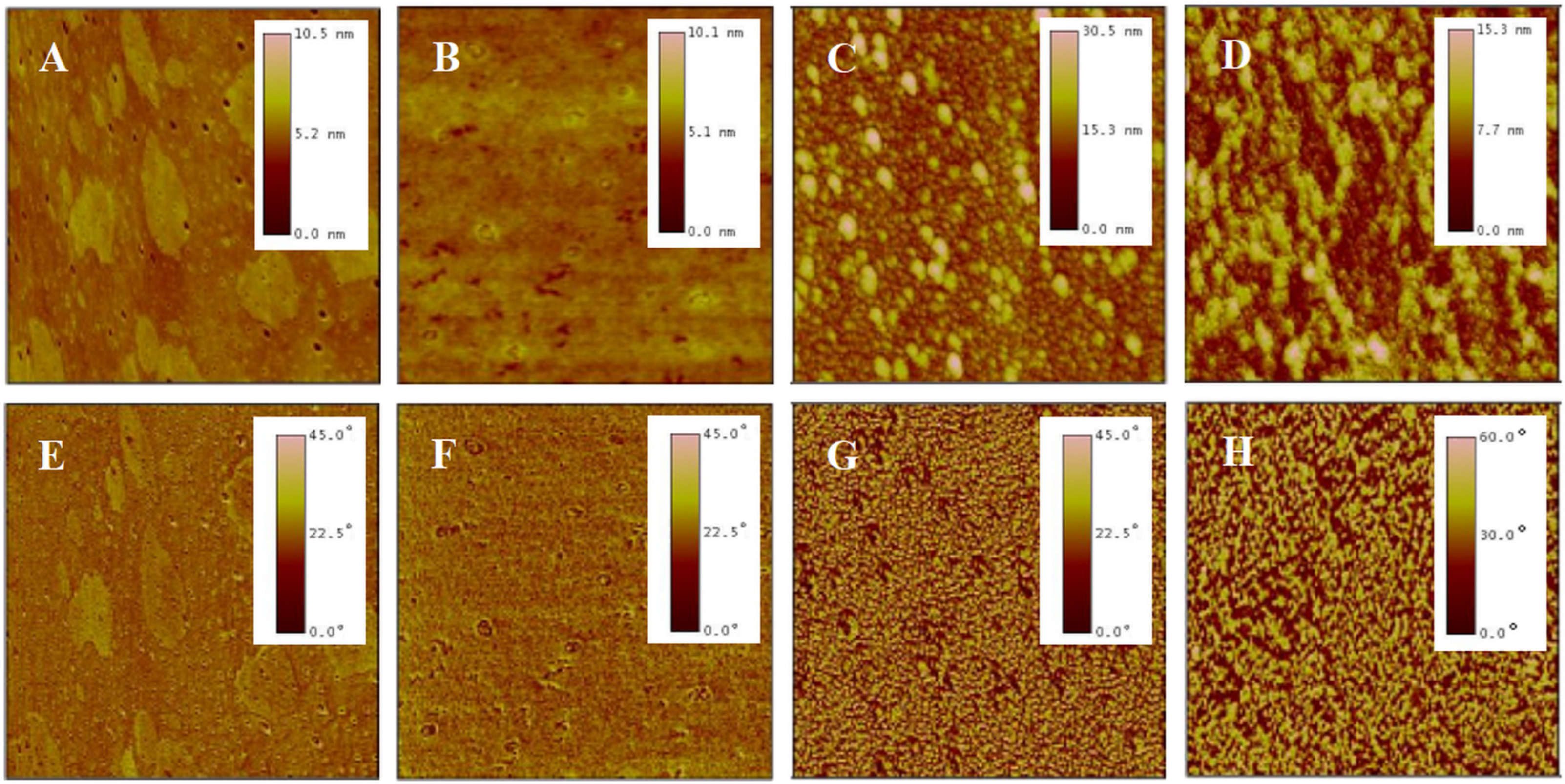 Molecules 29 04481 g006