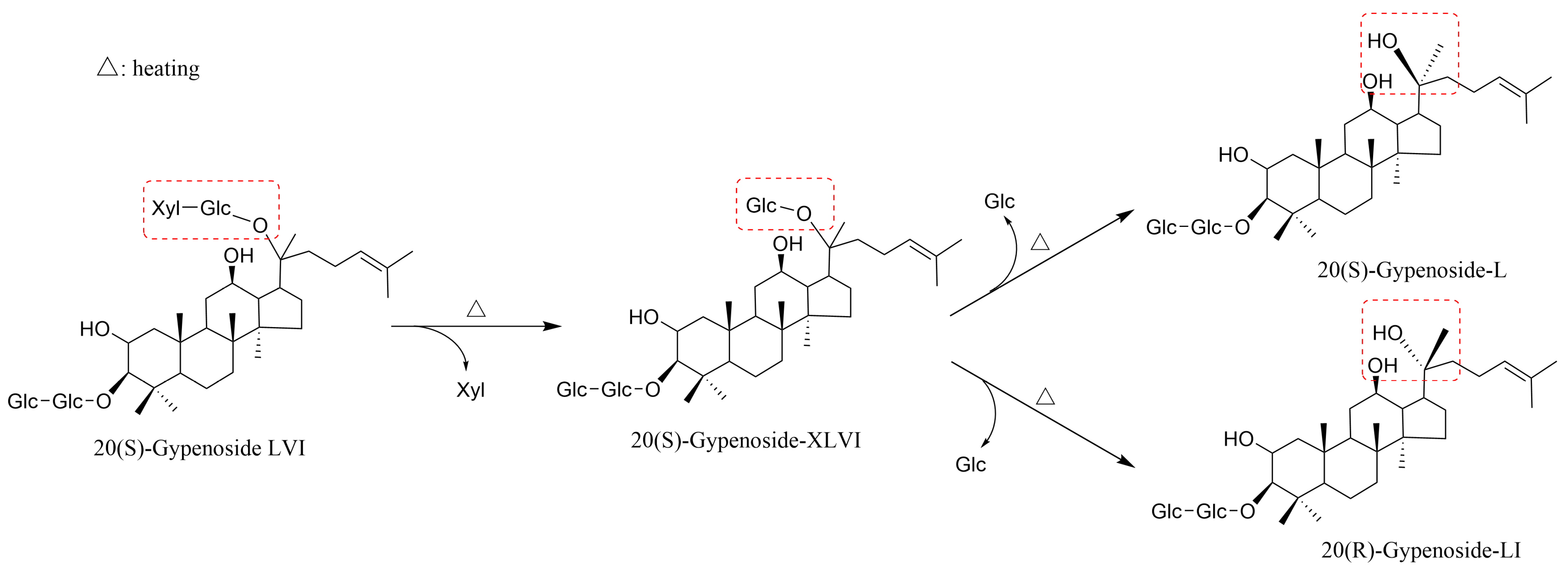 Molecules 29 04486 g004