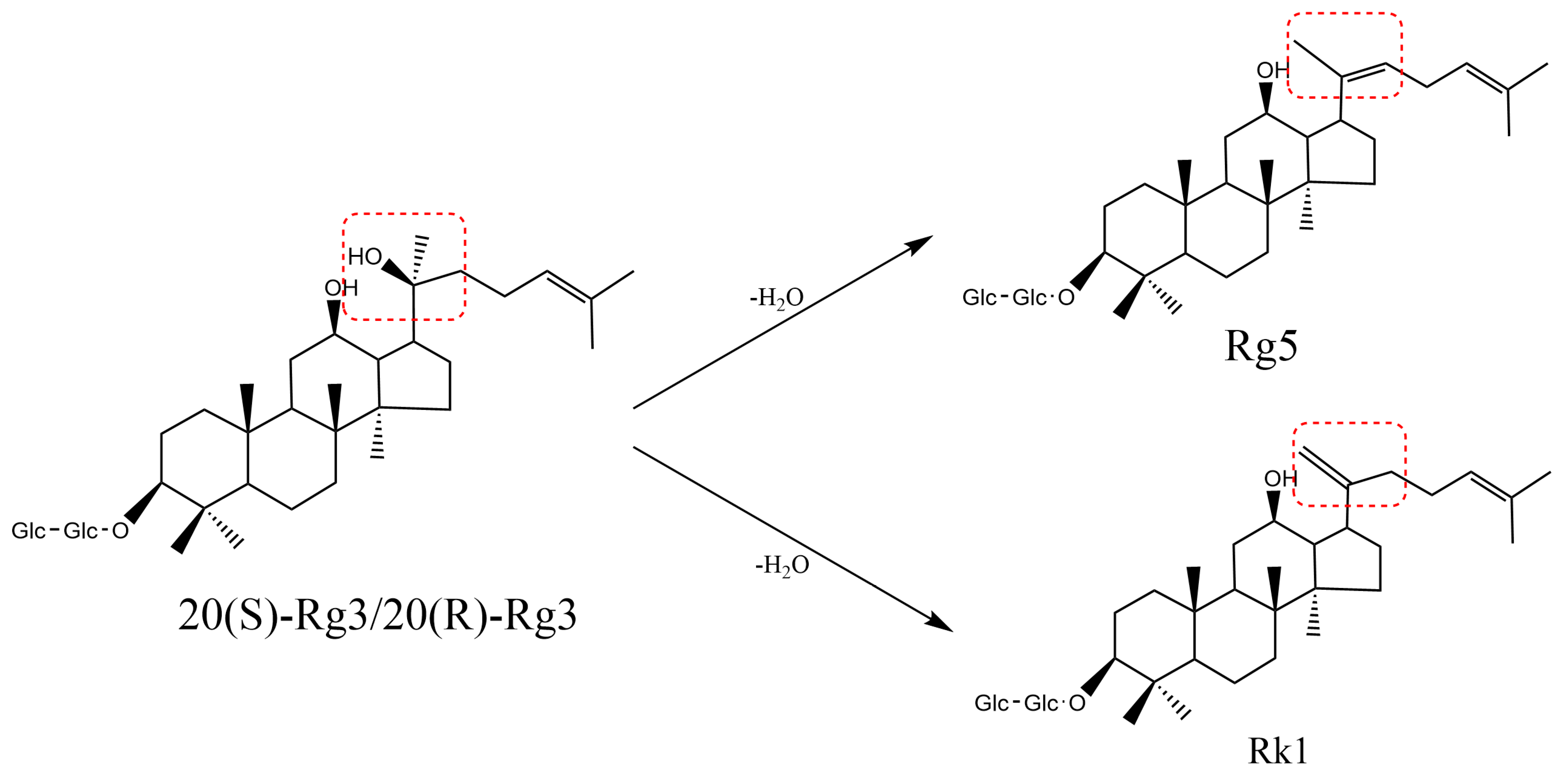 Molecules 29 04486 g006