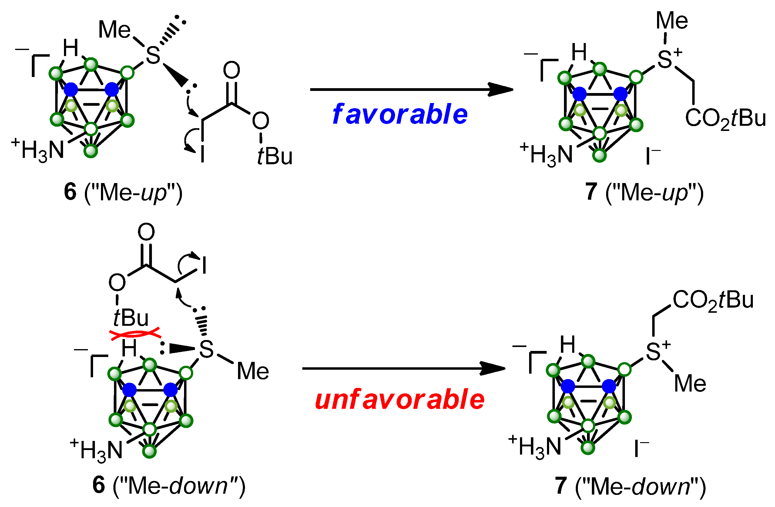 Molecules 29 04487 sch004 Molecules 29 04487 sch004