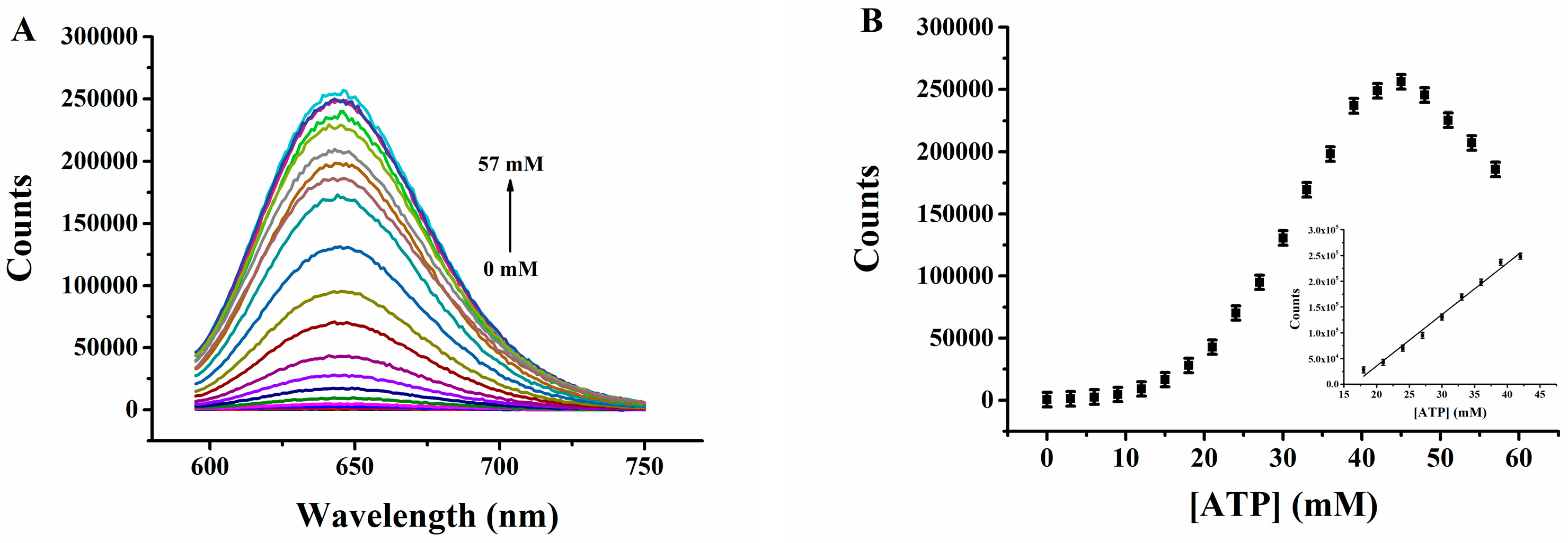Molecules 29 04490 g005