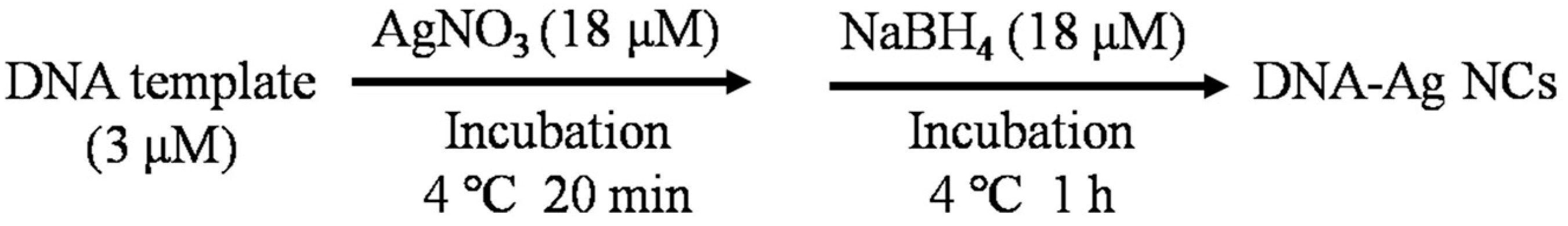 Molecules 29 04490 g007
