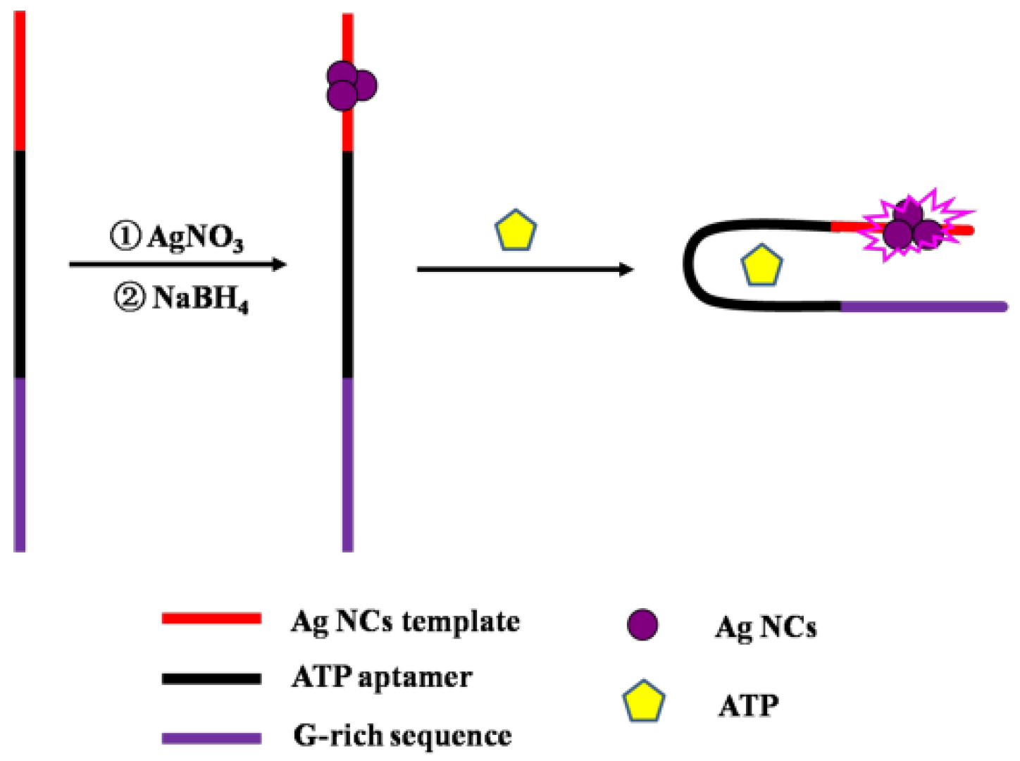 Molecules 29 04490 sch001