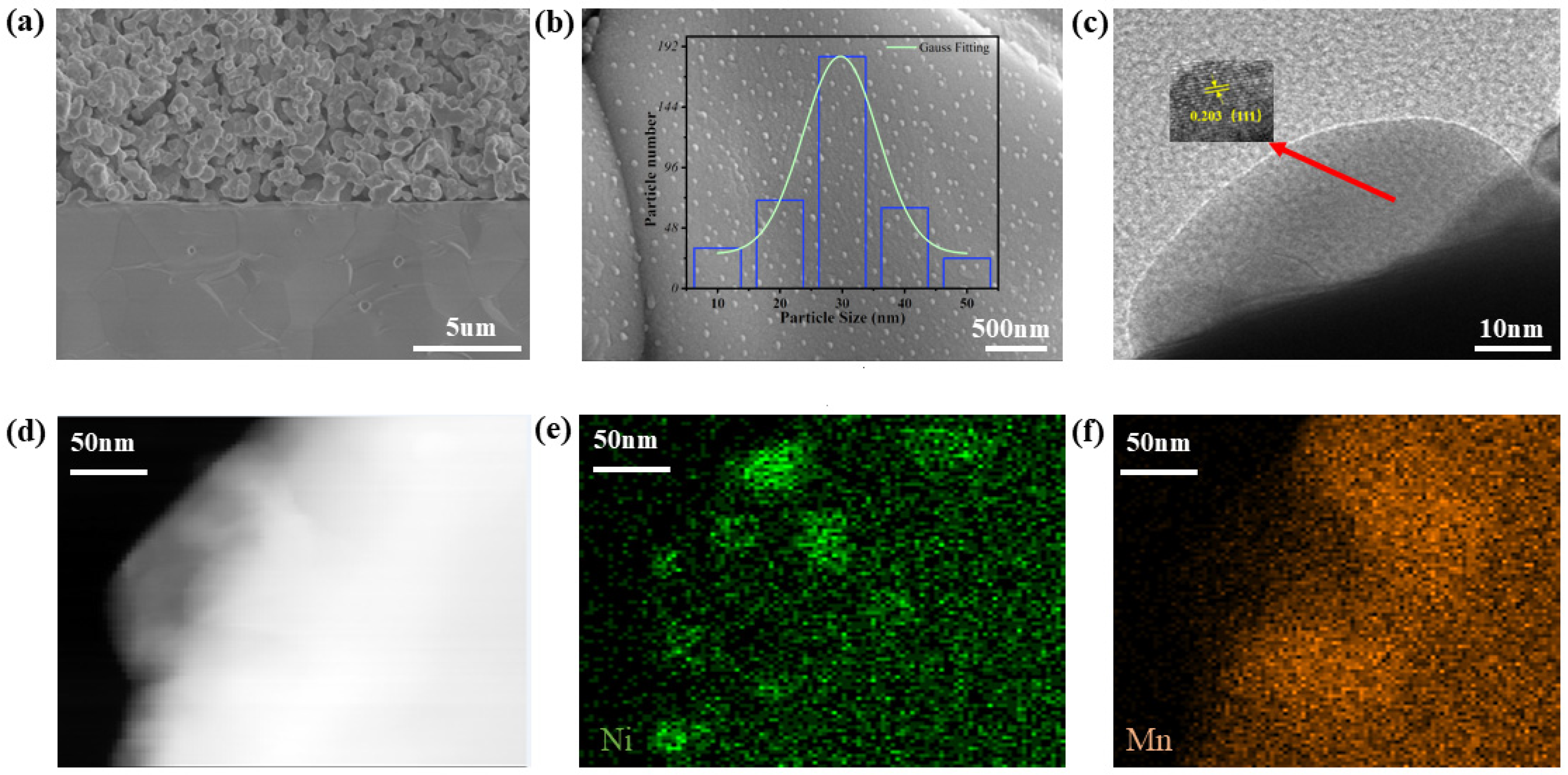 Molecules 29 04492 g004