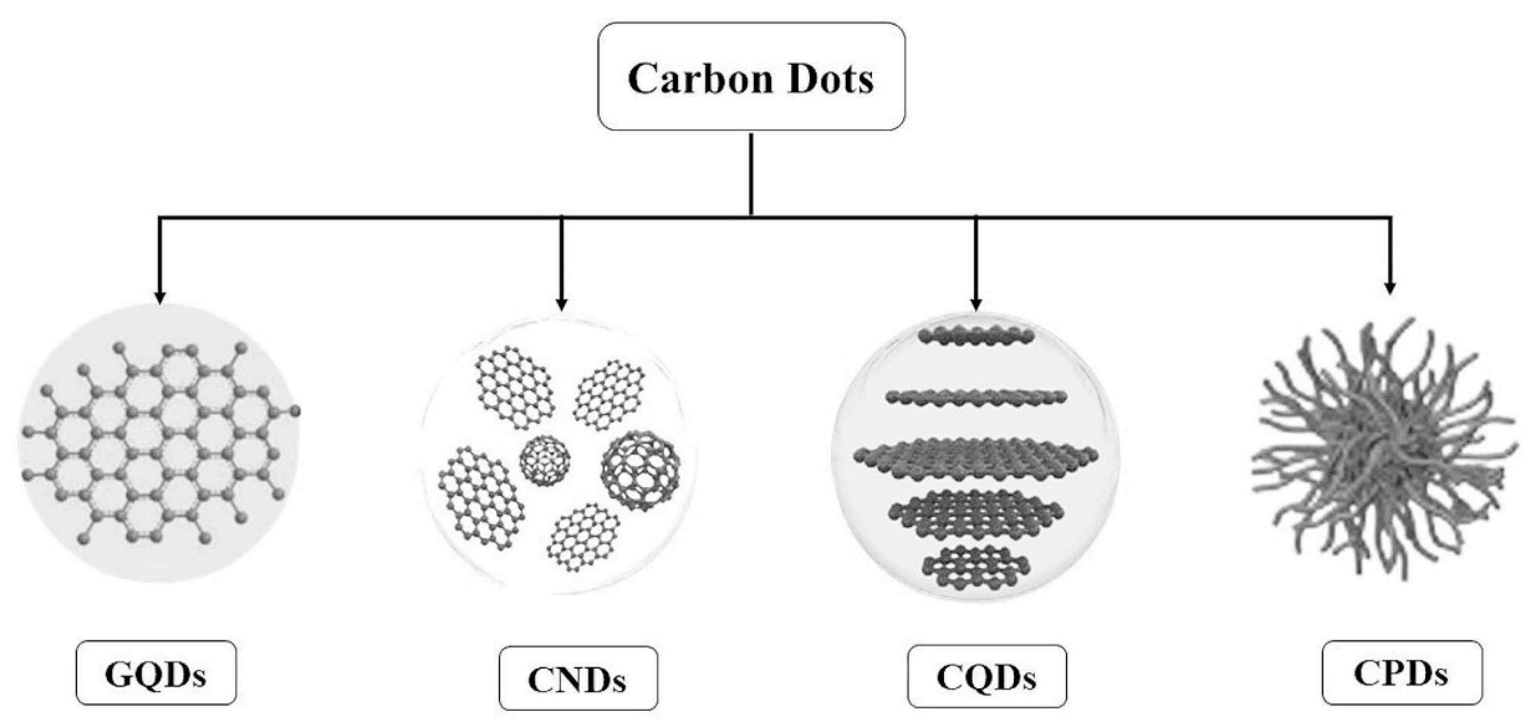 Molecules 29 04508 g001