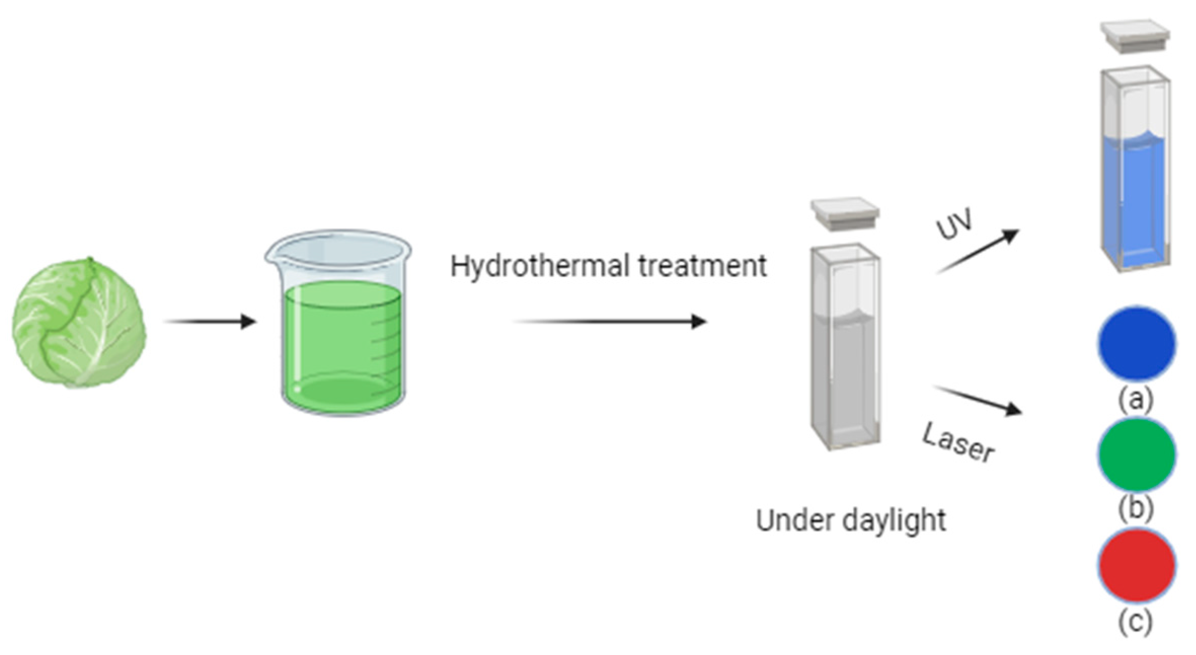 Molecules 29 04508 g003