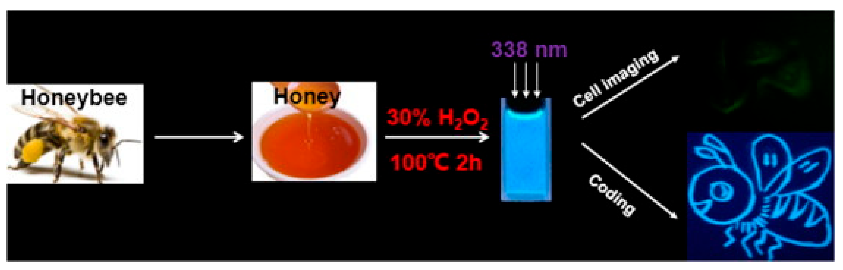 Molecules 29 04508 g005