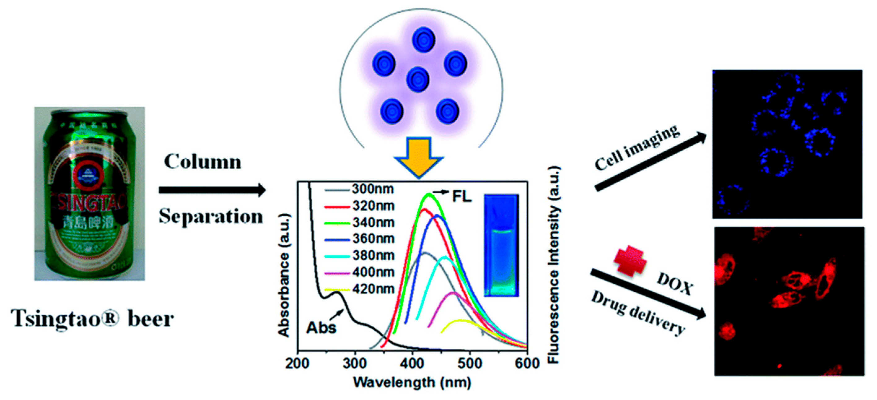 Molecules 29 04508 g006