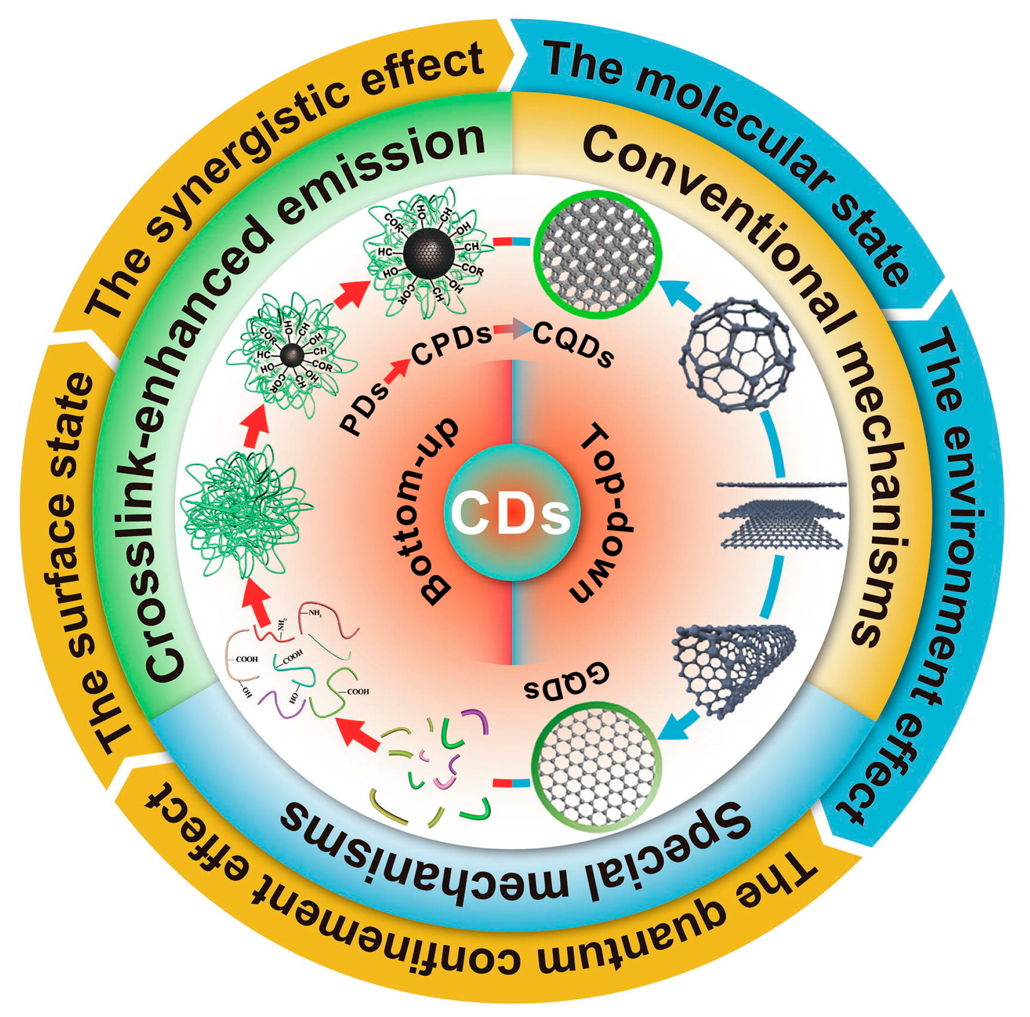 Molecules 29 04508 g008