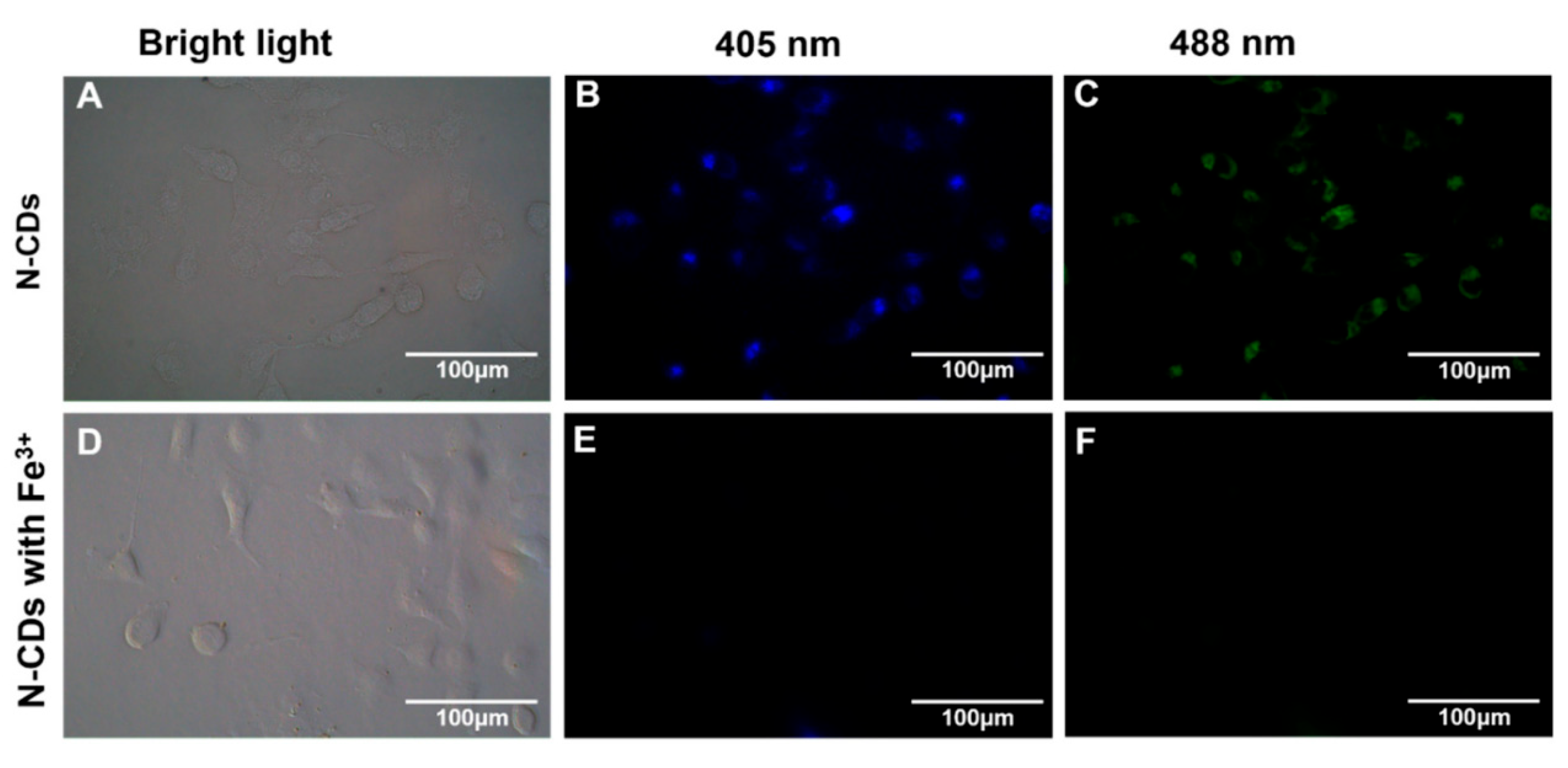 Molecules 29 04508 g014