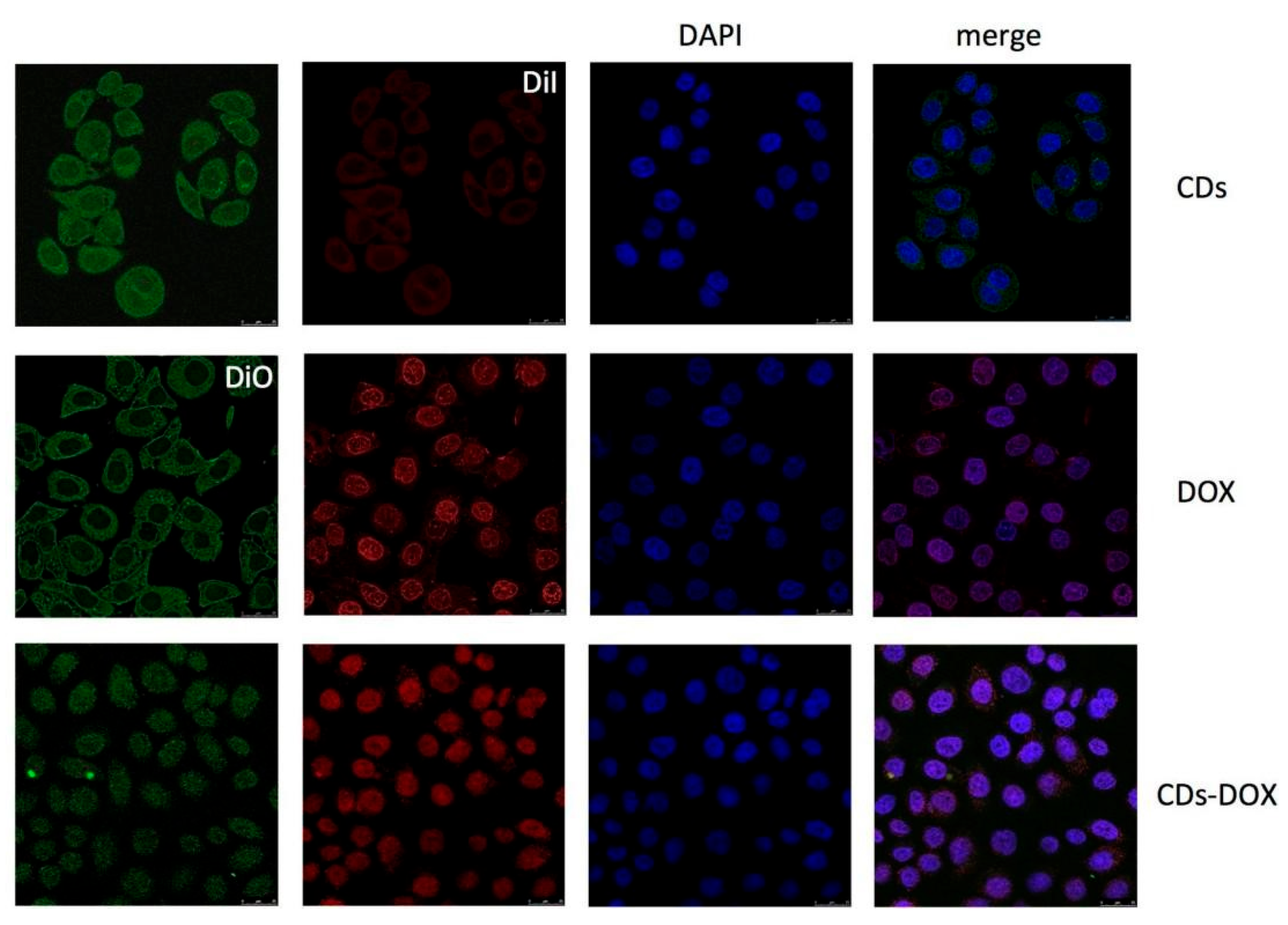 Molecules 29 04508 g015