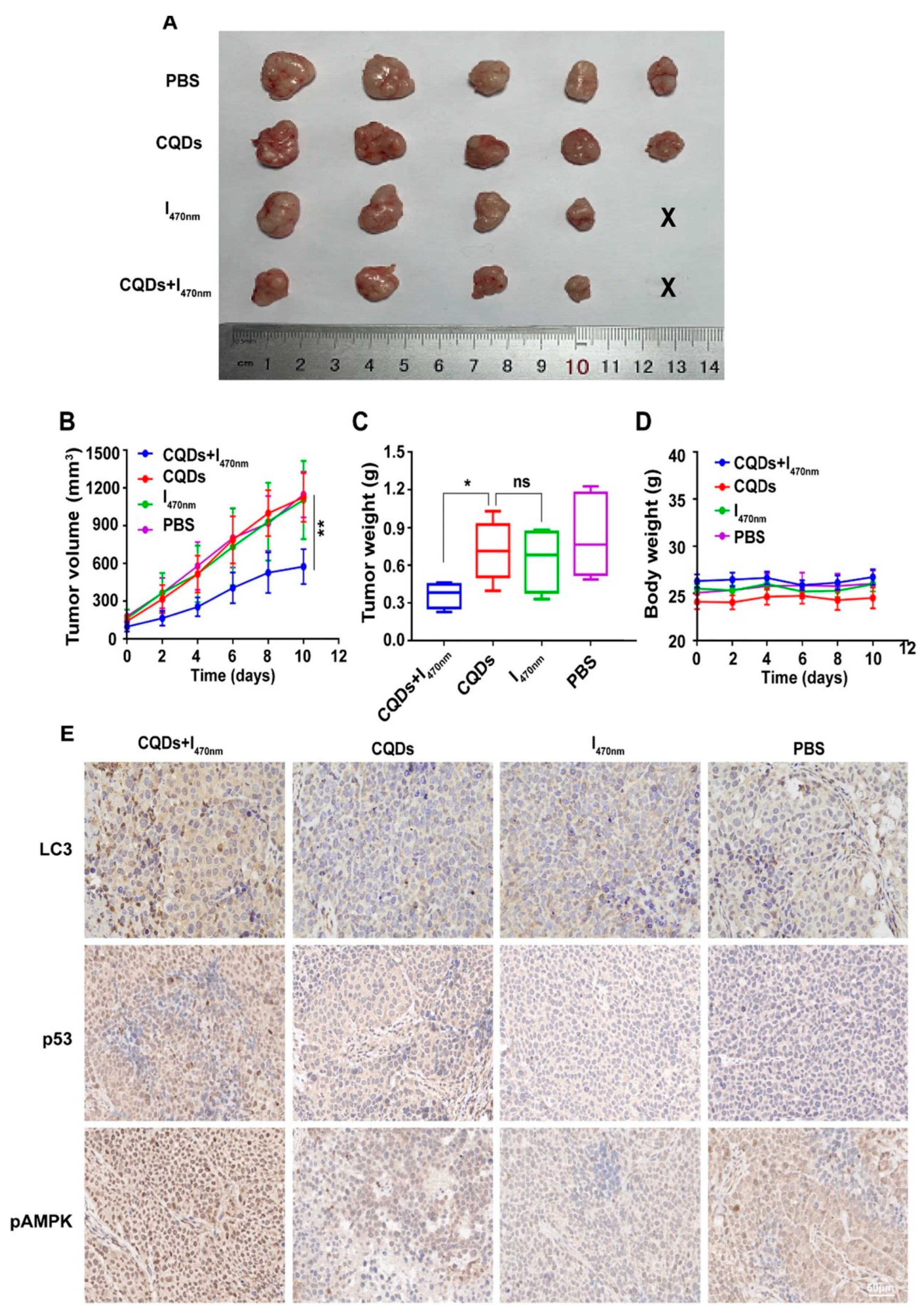 Molecules 29 04508 g019