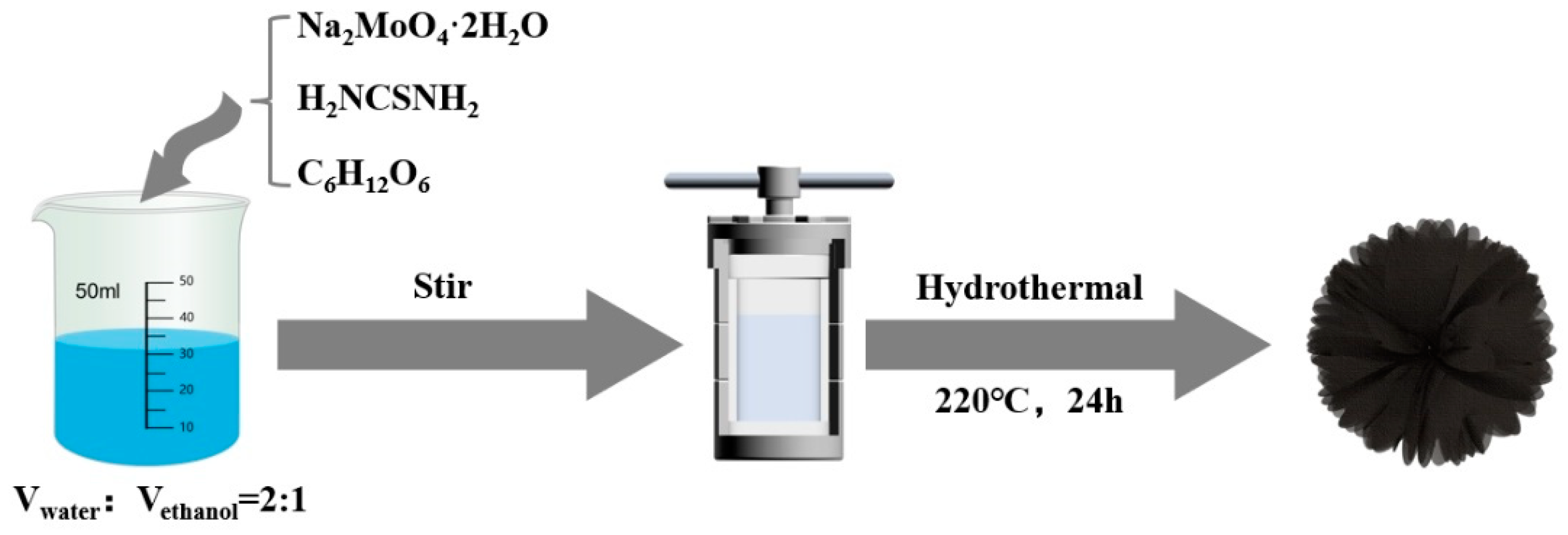 Molecules 29 04513 g001