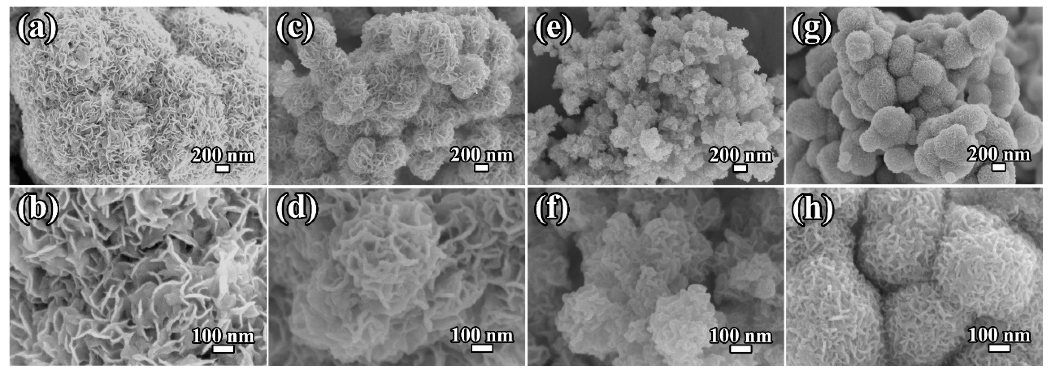 Molecules 29 04513 g003