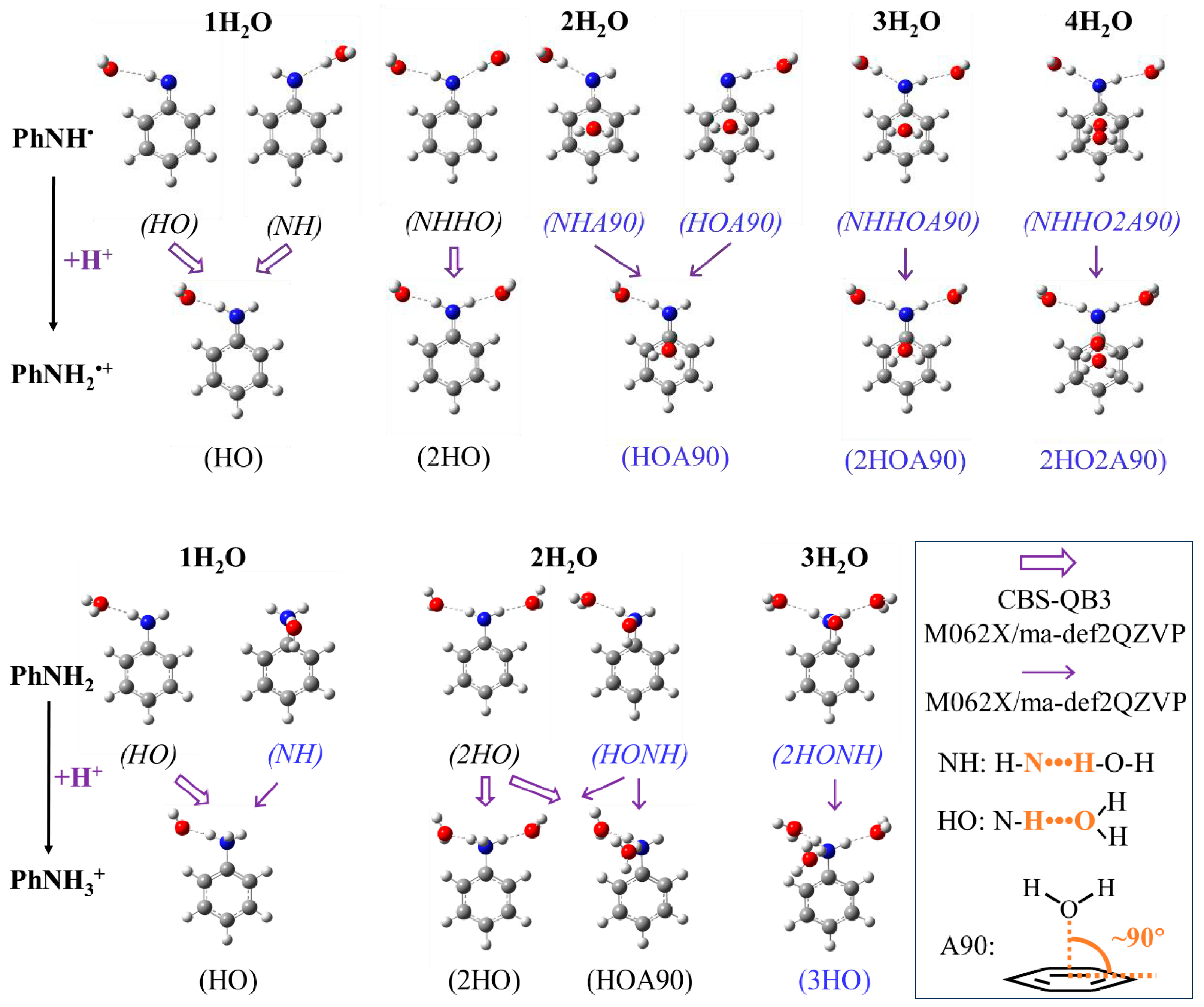 Molecules 29 04522 g001