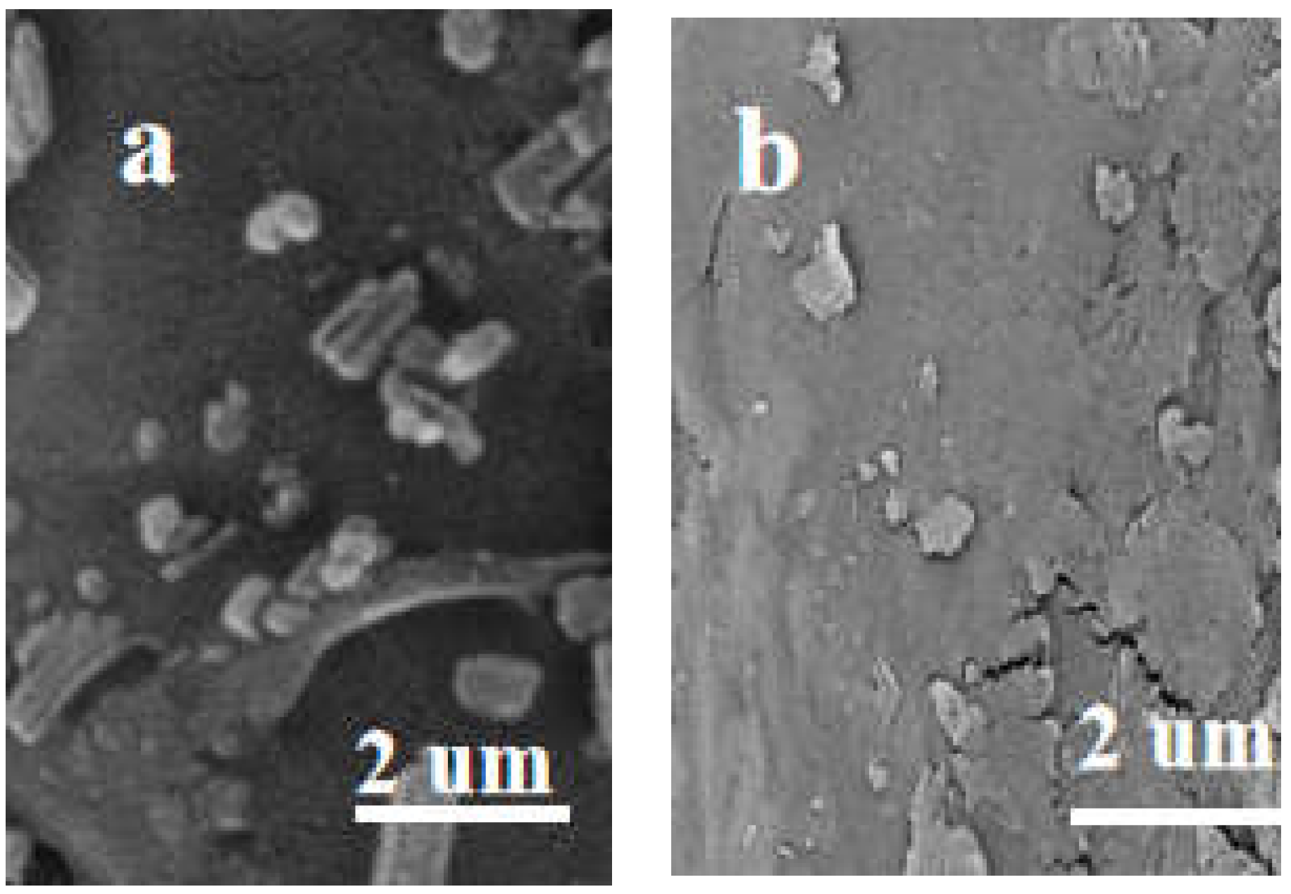 Molecules 29 04525 g008 Molecules 29 04525 g008