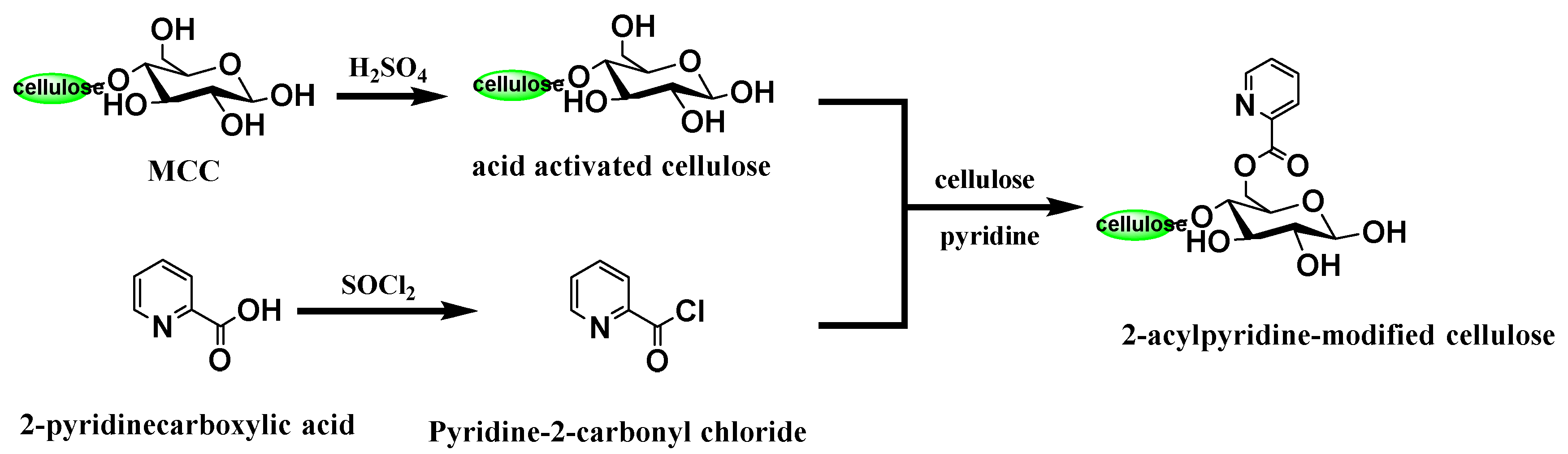 Molecules 29 04525 sch002 Molecules 29 04525 sch002