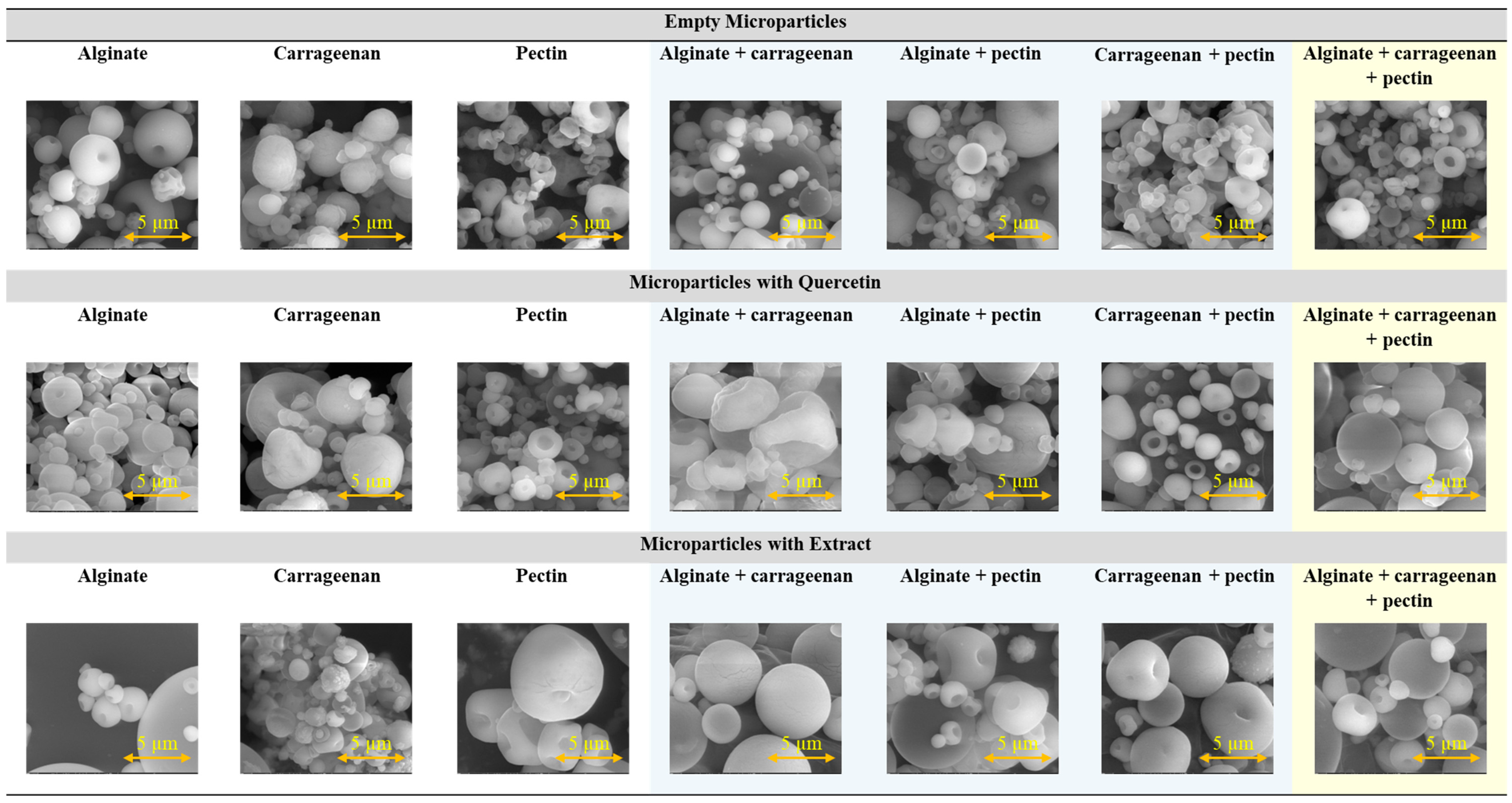 Molecules 29 04528 g001 Molecules 29 04528 g001