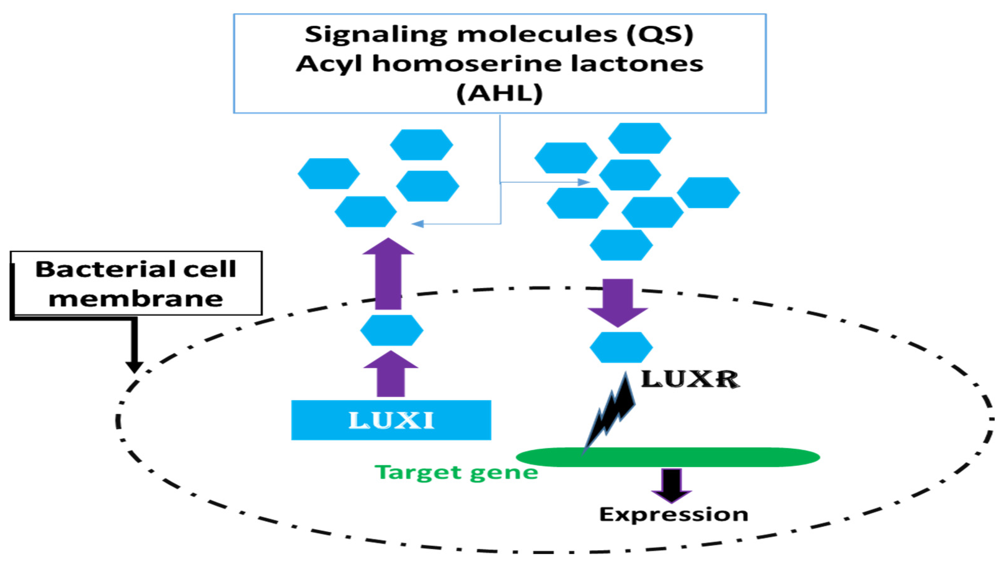 Molecules 29 04534 g002