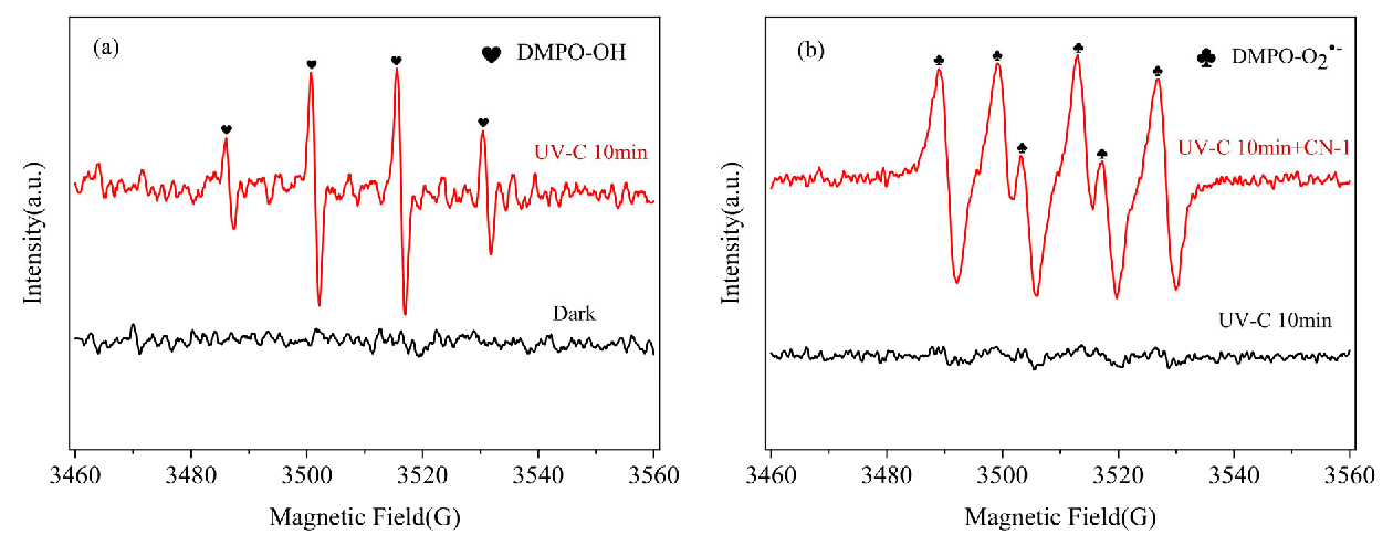 Molecules 29 04535 g004