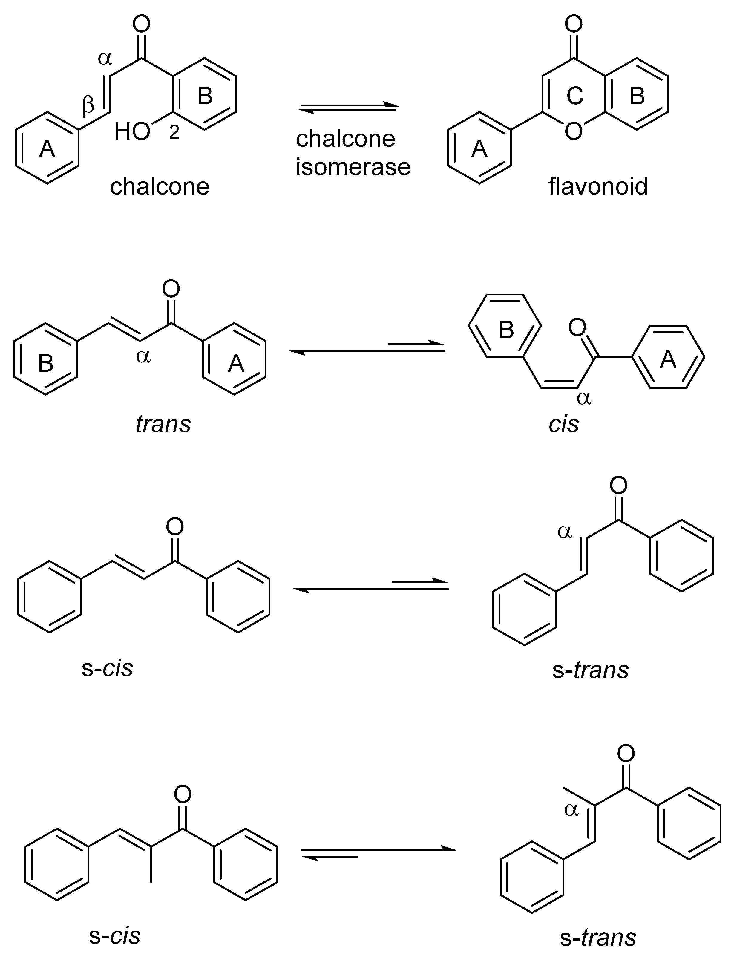 Molecules 29 04539 g001