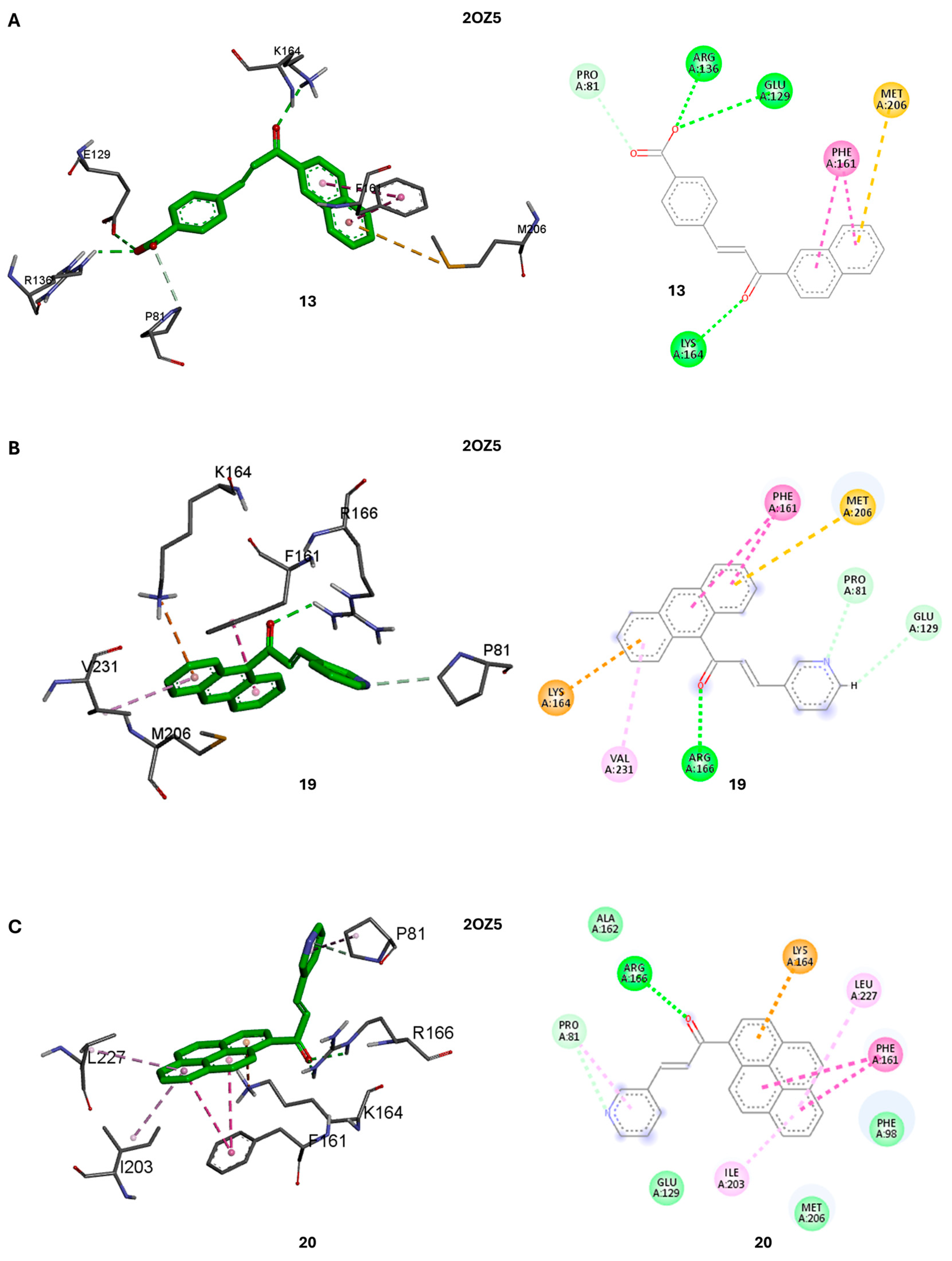 Molecules 29 04539 g004