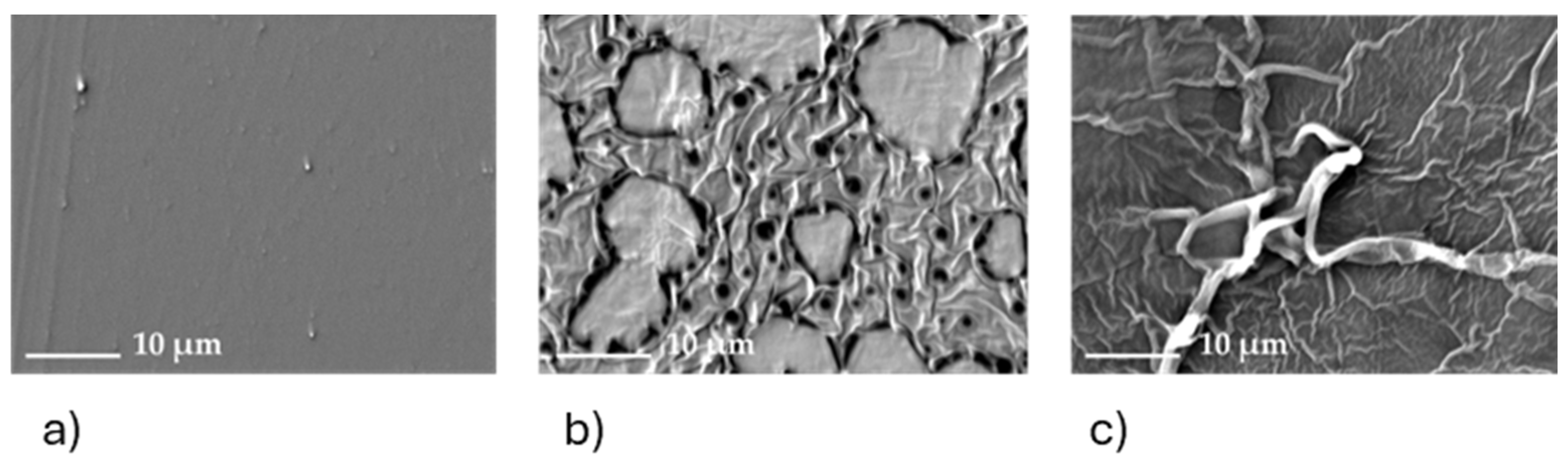 Molecules 29 04545 g014