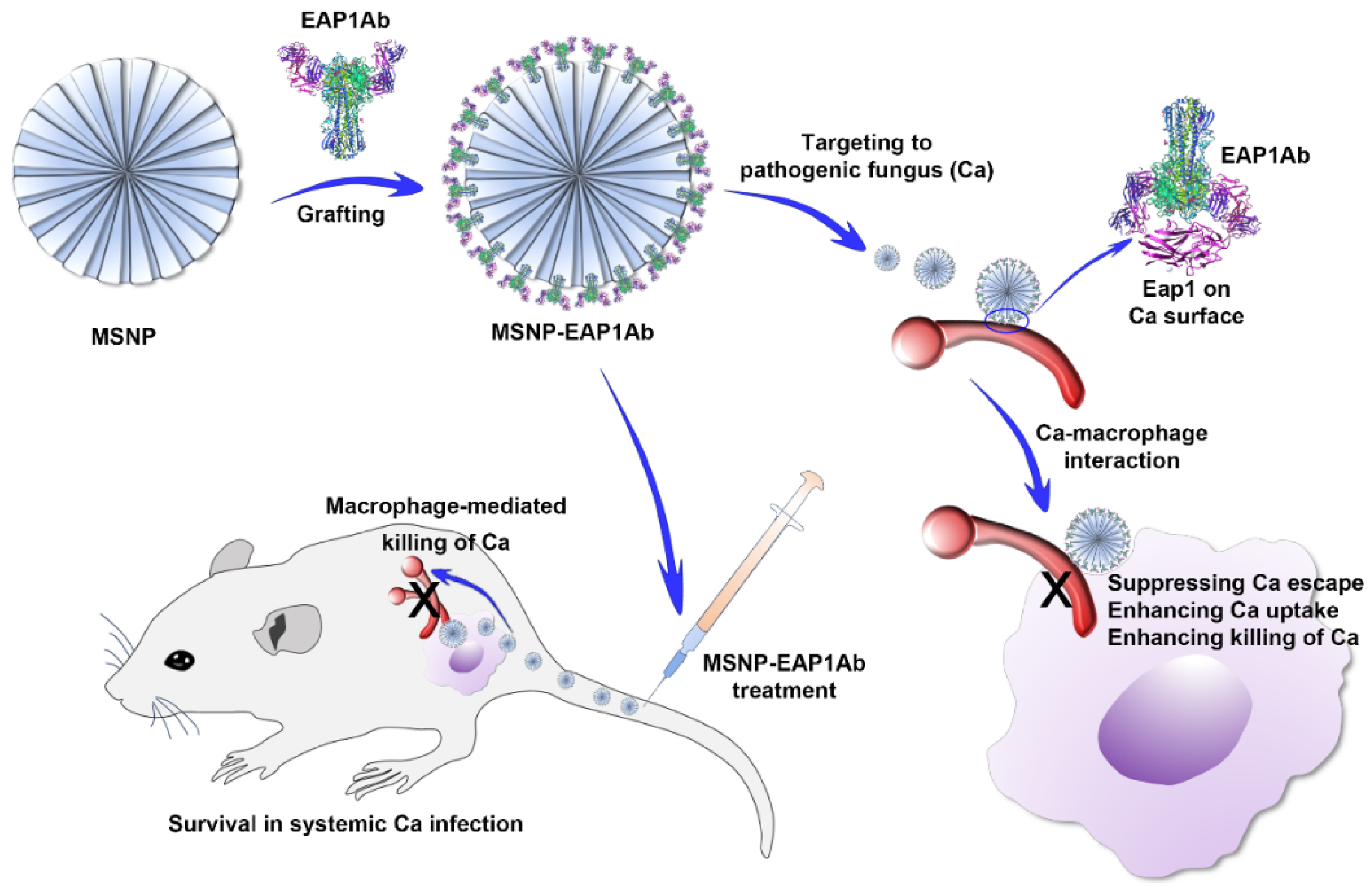 Molecules 29 04547 g001
