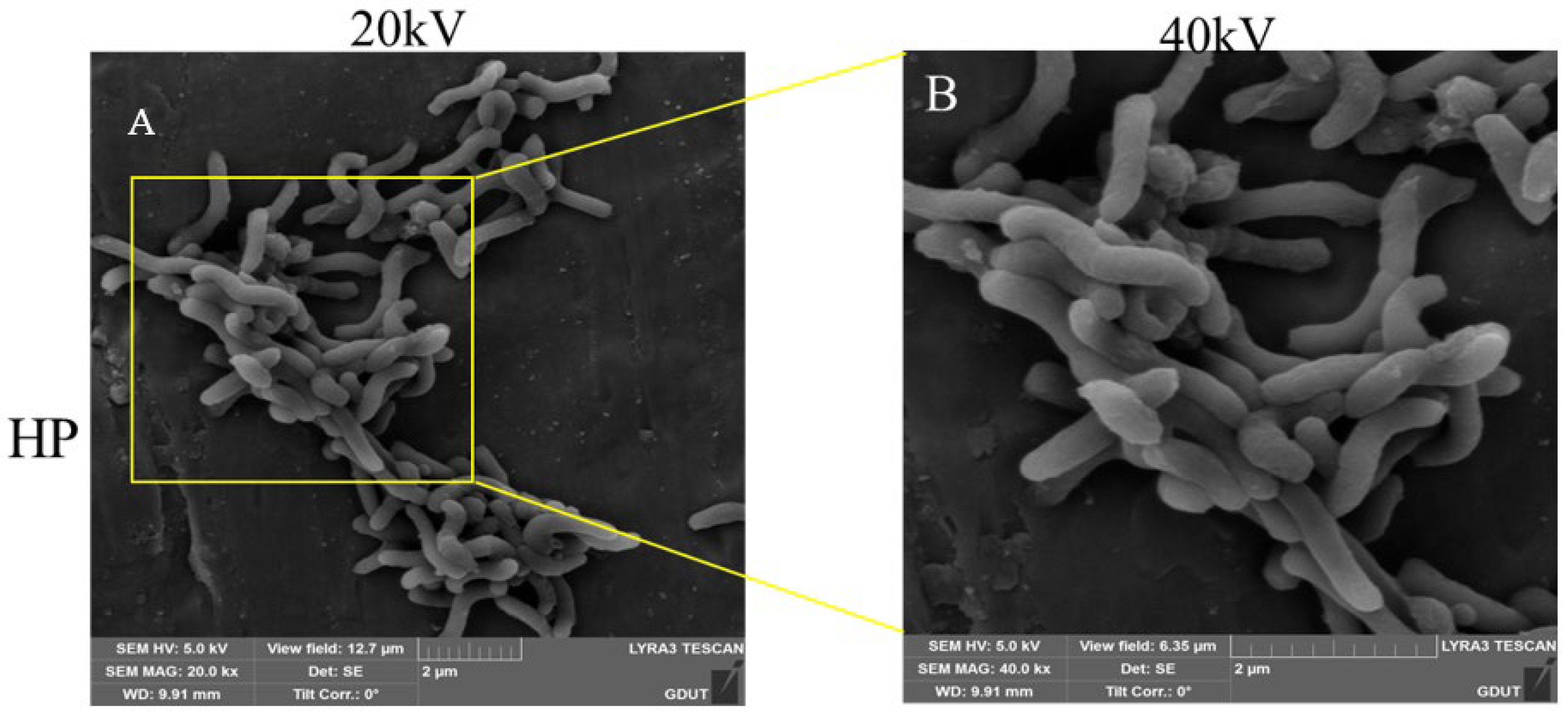 Molecules 29 04548 g003a