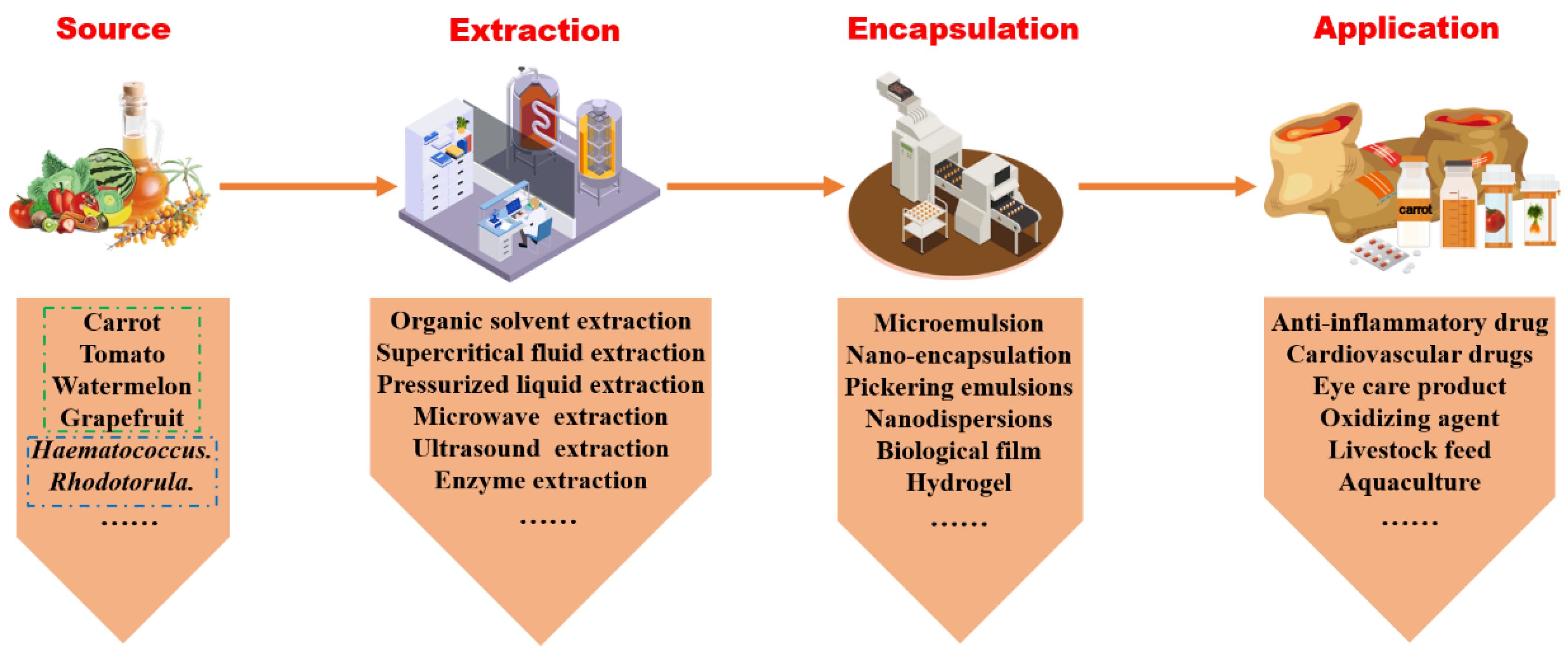 Molecules 29 04549 g001