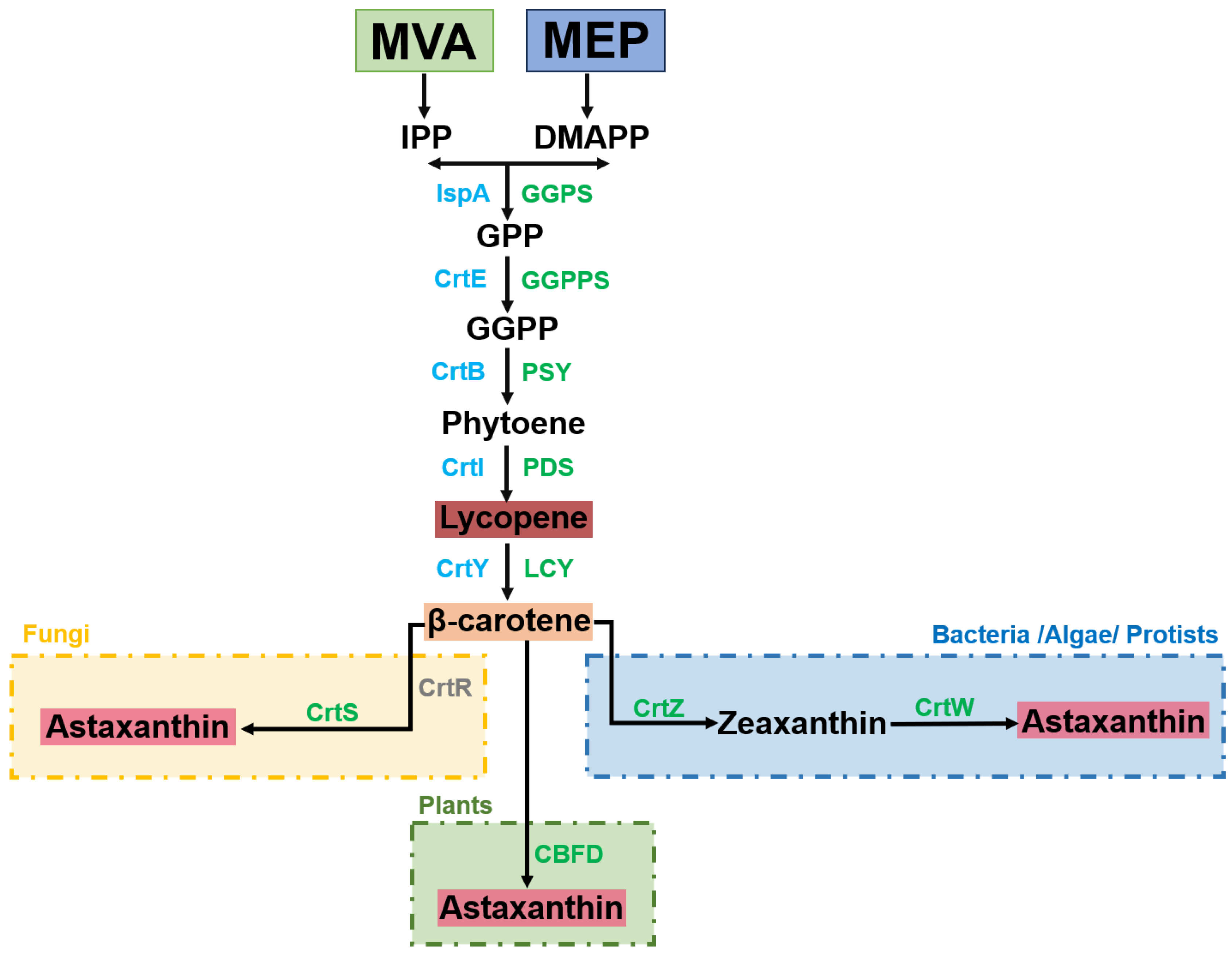 Molecules 29 04549 g002