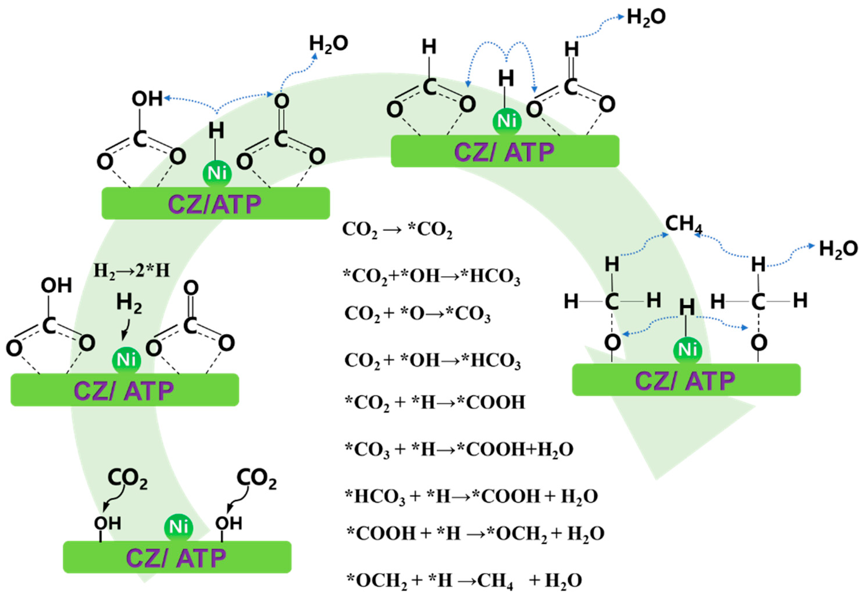 Molecules 29 04550 g009 Molecules 29 04550 g009