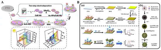 Molecules 29 04551 g014