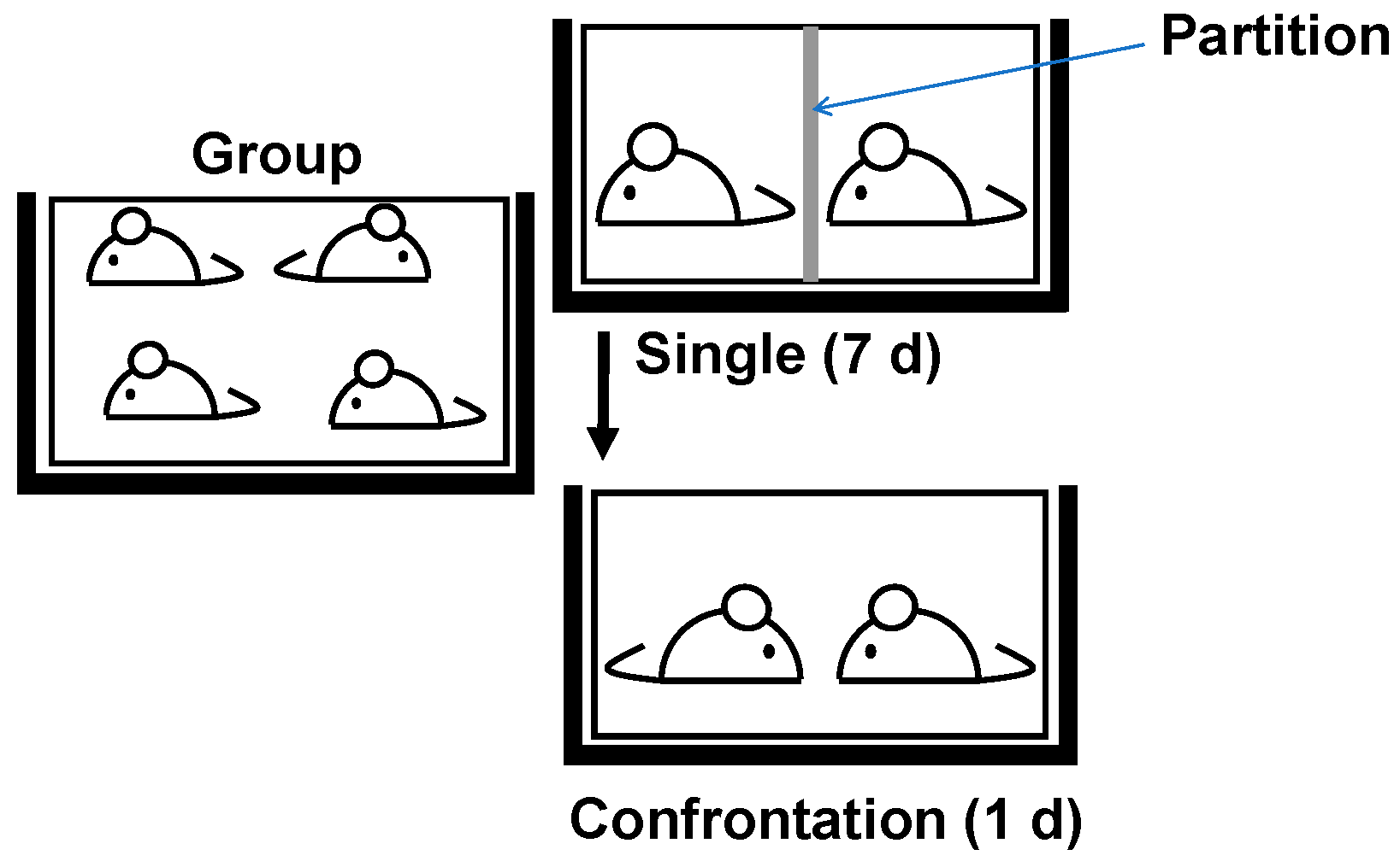 Molecules 29 04553 g009