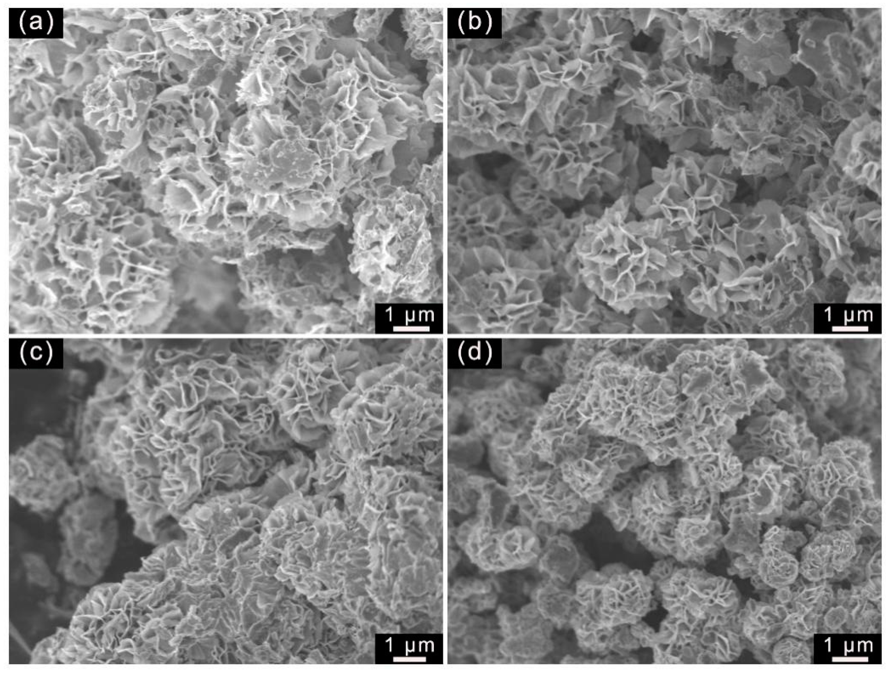 Molecules 29 04555 g002 Molecules 29 04555 g002
