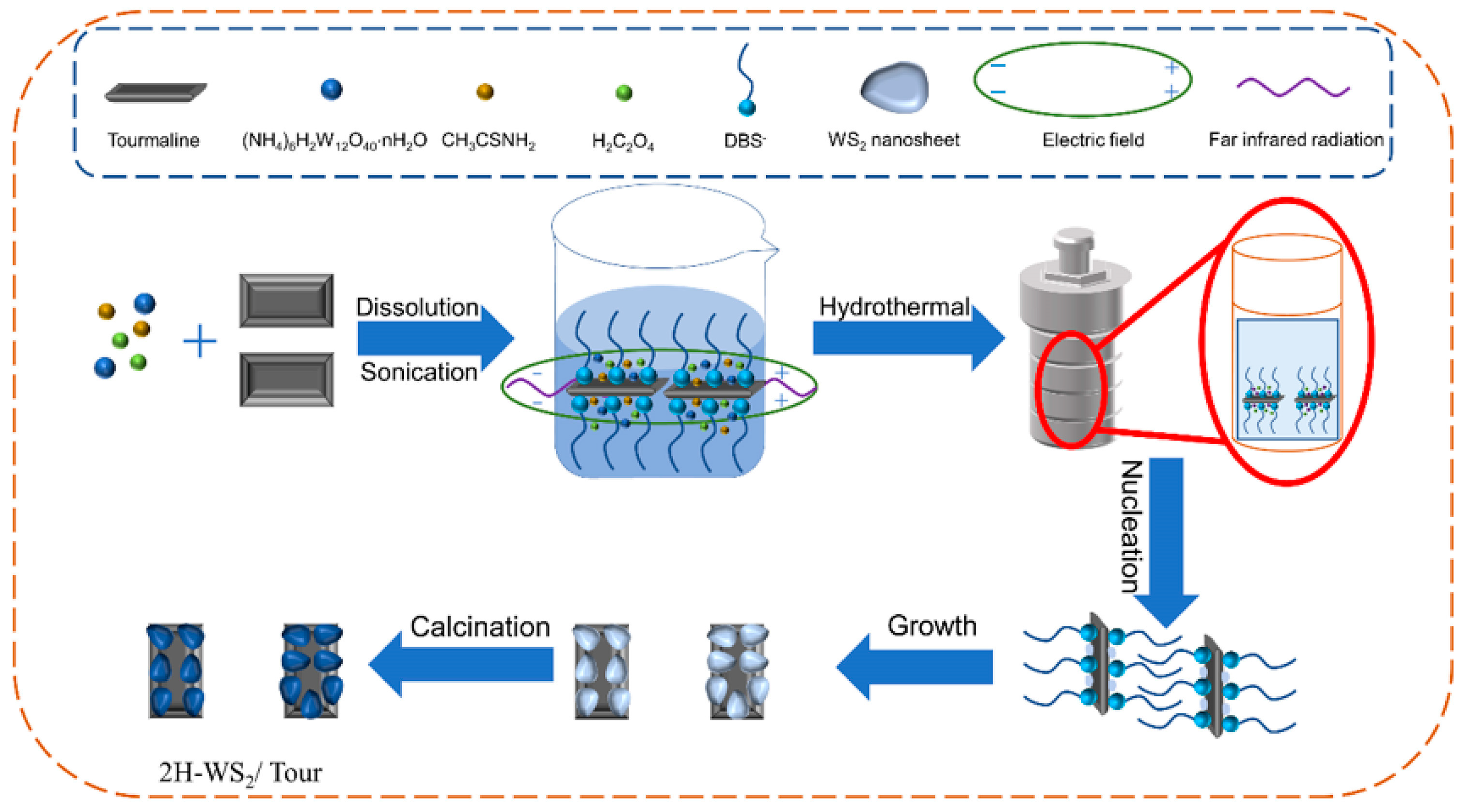 Molecules 29 04555 g009 Molecules 29 04555 g009