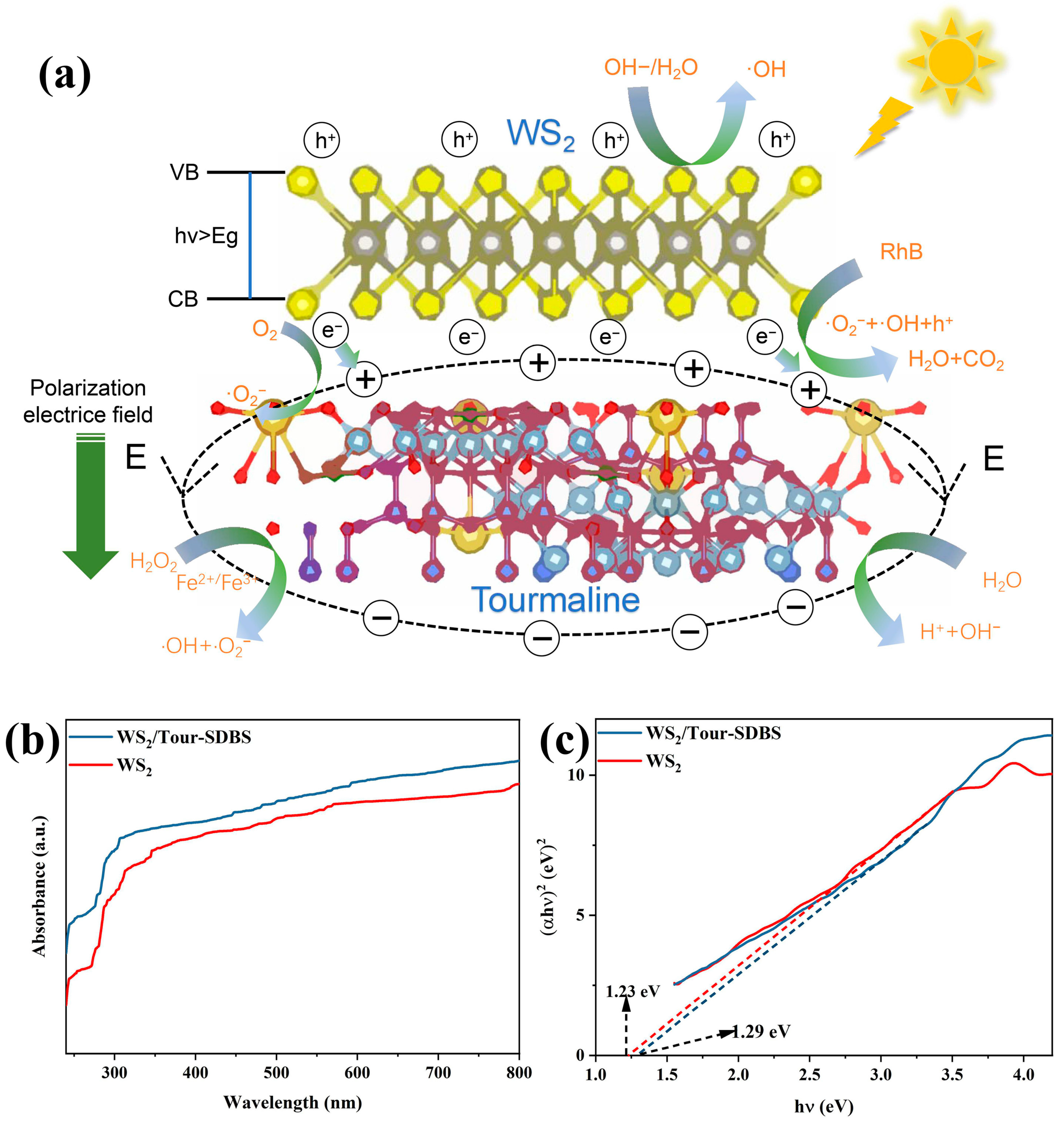 Molecules 29 04555 g010 Molecules 29 04555 g010