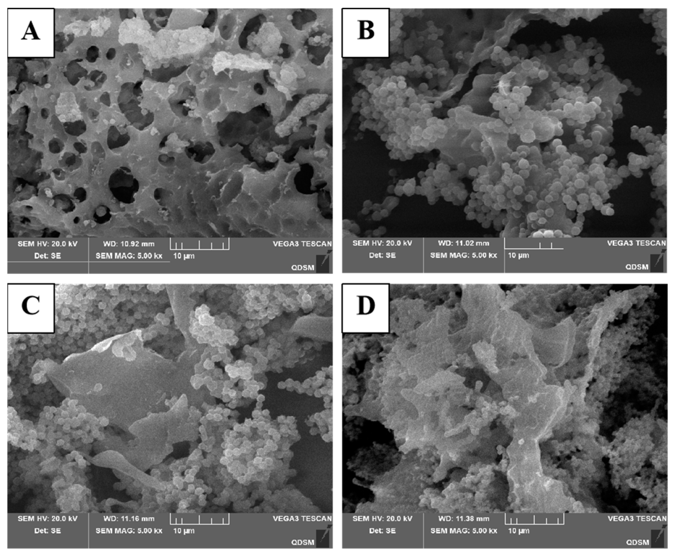 Molecules 29 04560 g007 Molecules 29 04560 g007