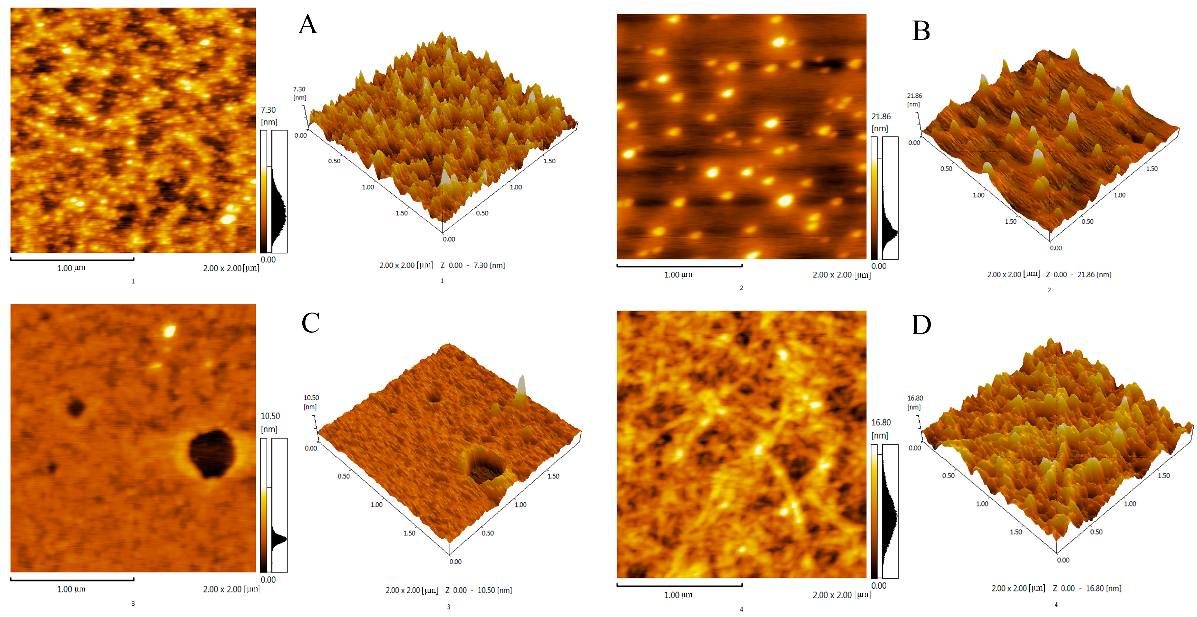 Molecules 29 04560 g008 Molecules 29 04560 g008