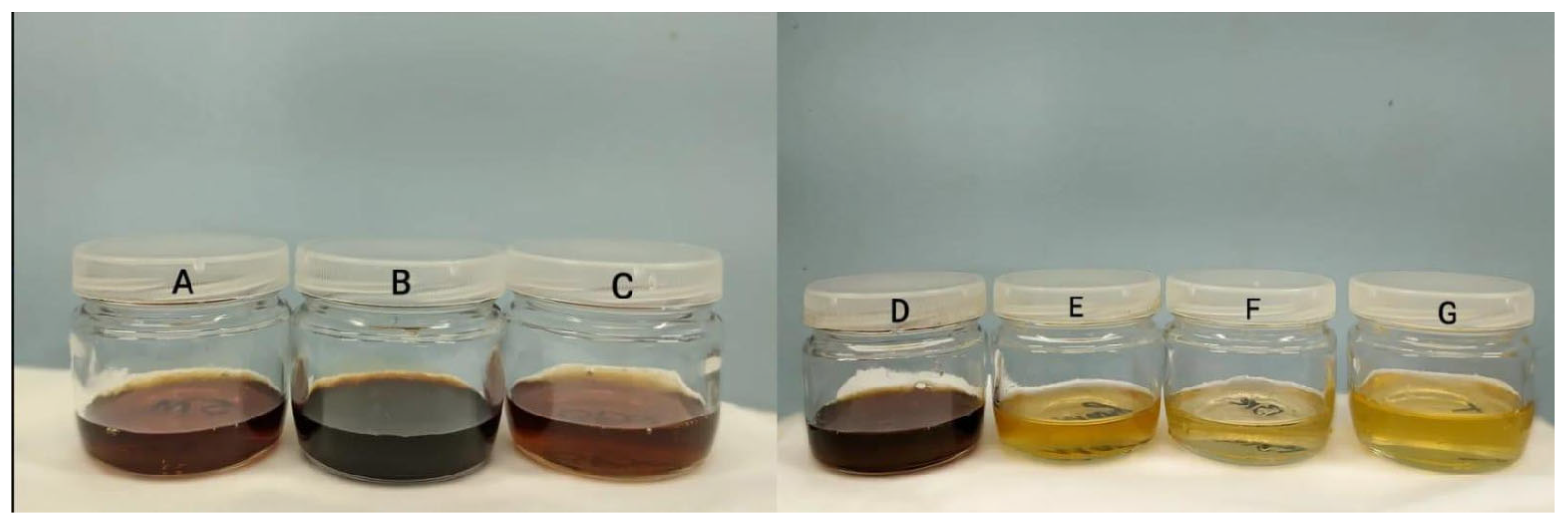 Molecules 29 04567 g001