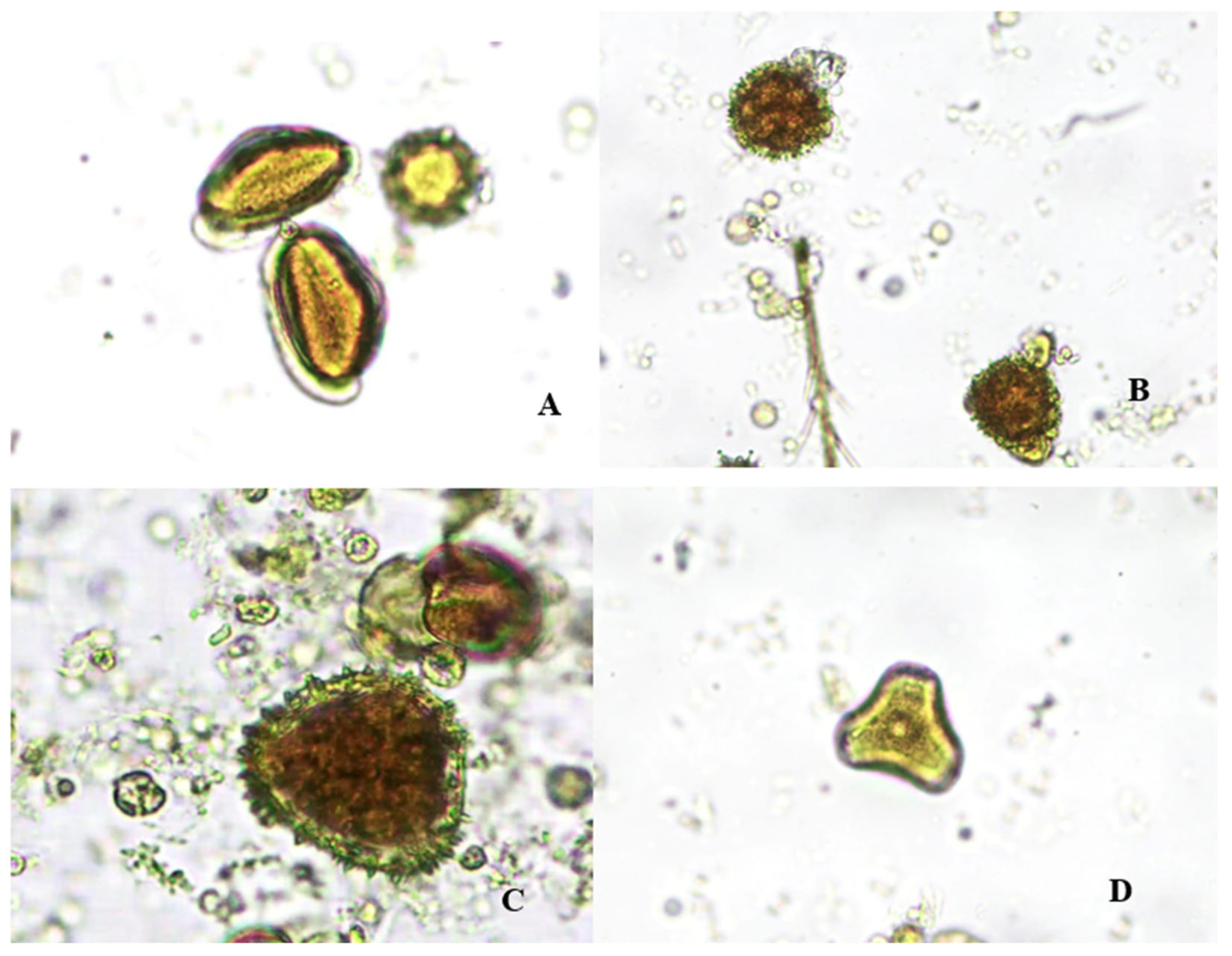 Molecules 29 04567 g002