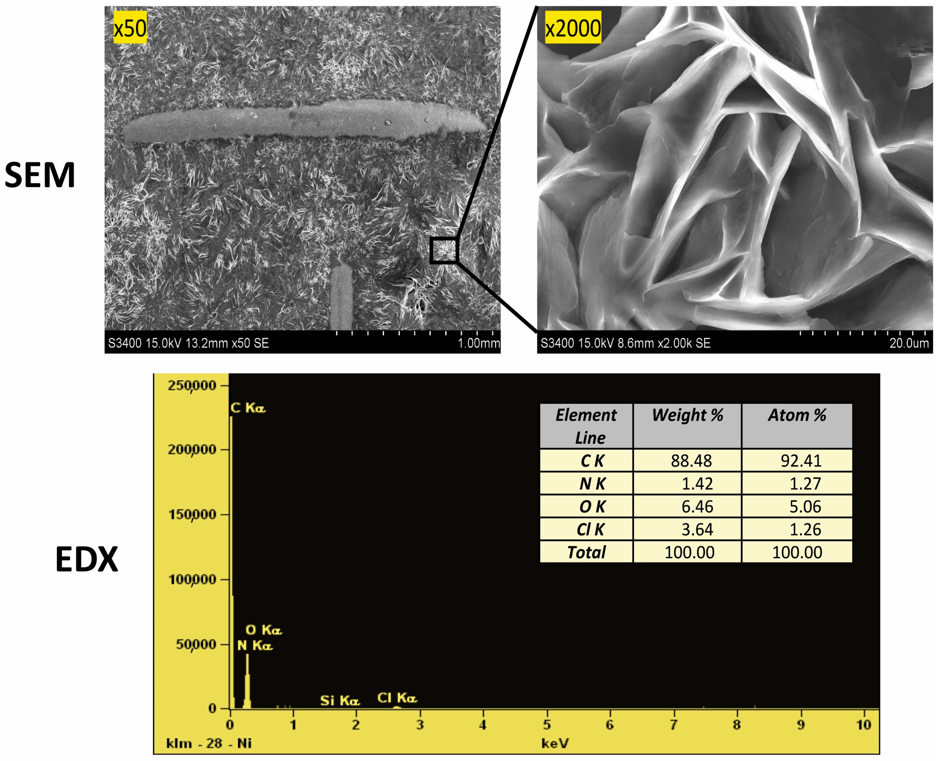 Molecules 29 04573 g002
