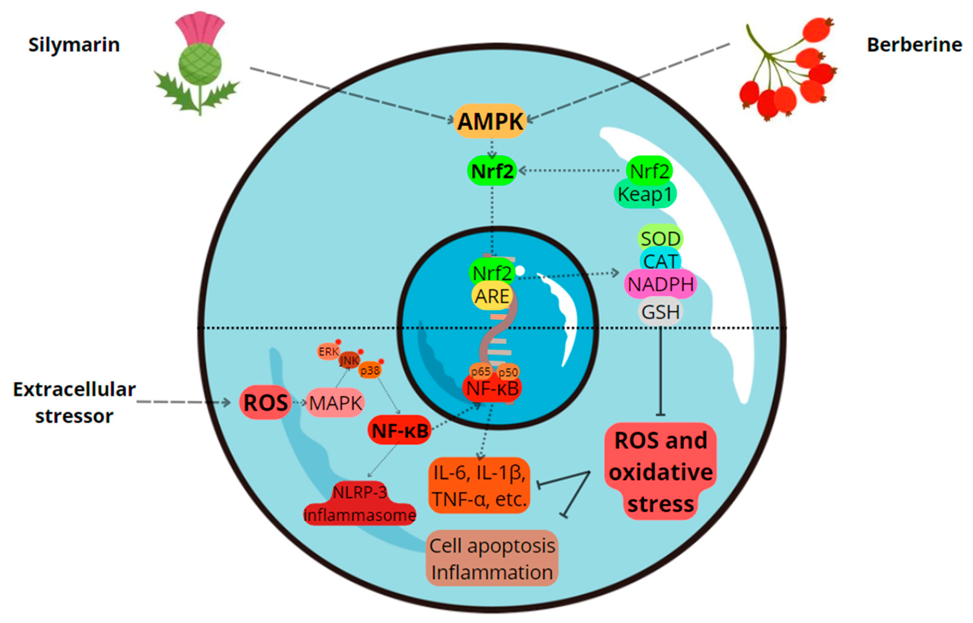 Molecules 29 04576 g001
