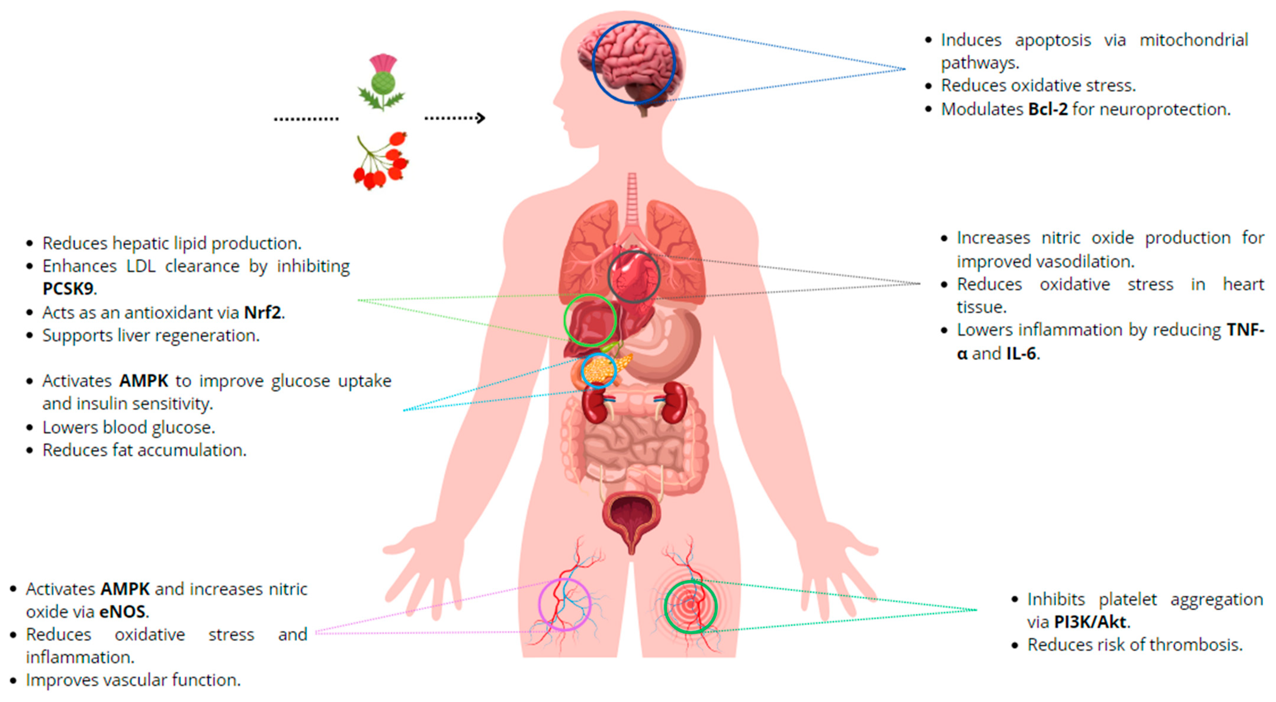 Molecules 29 04576 g002