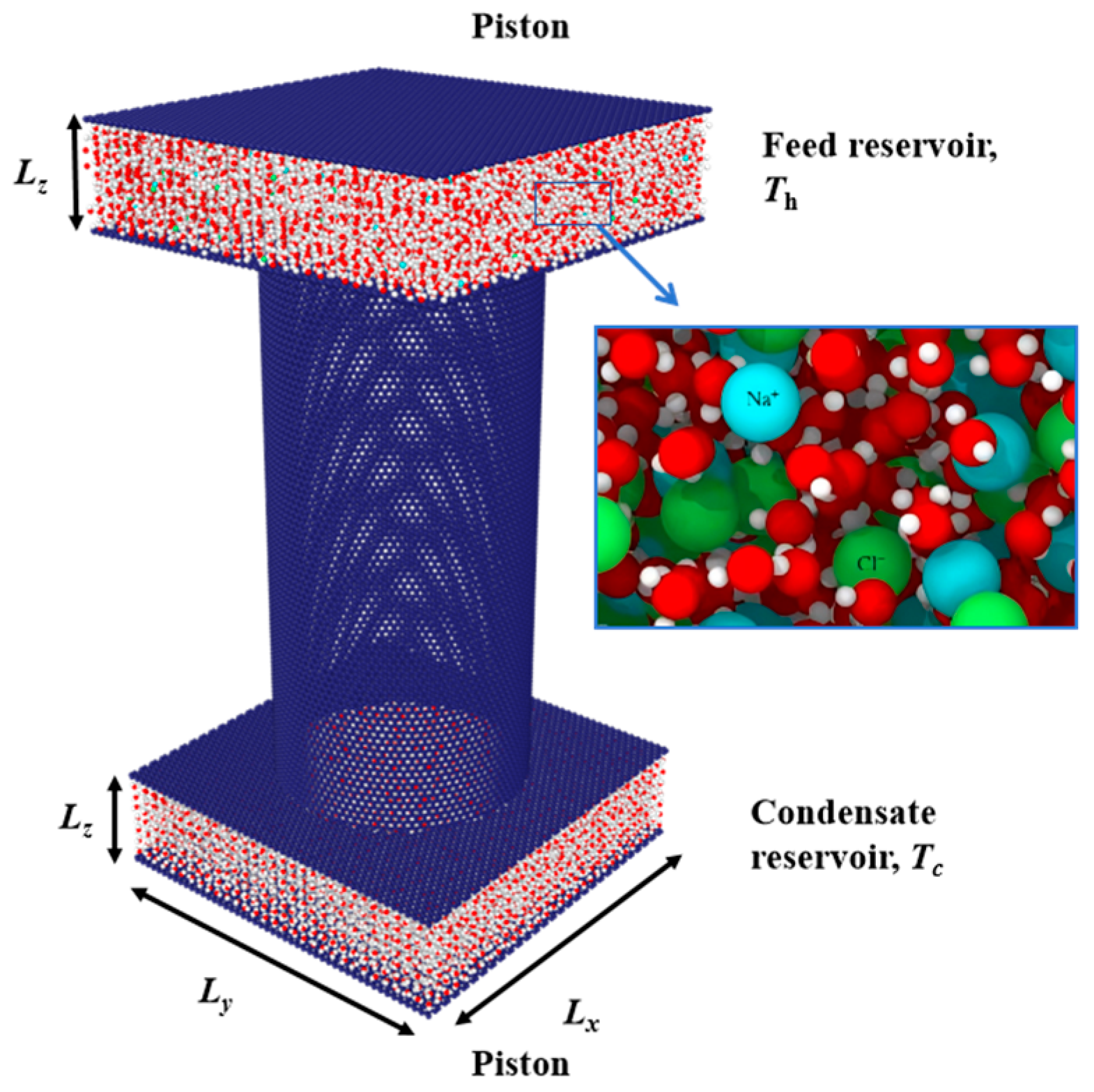 Molecules 29 04581 g013 Molecules 29 04581 g013