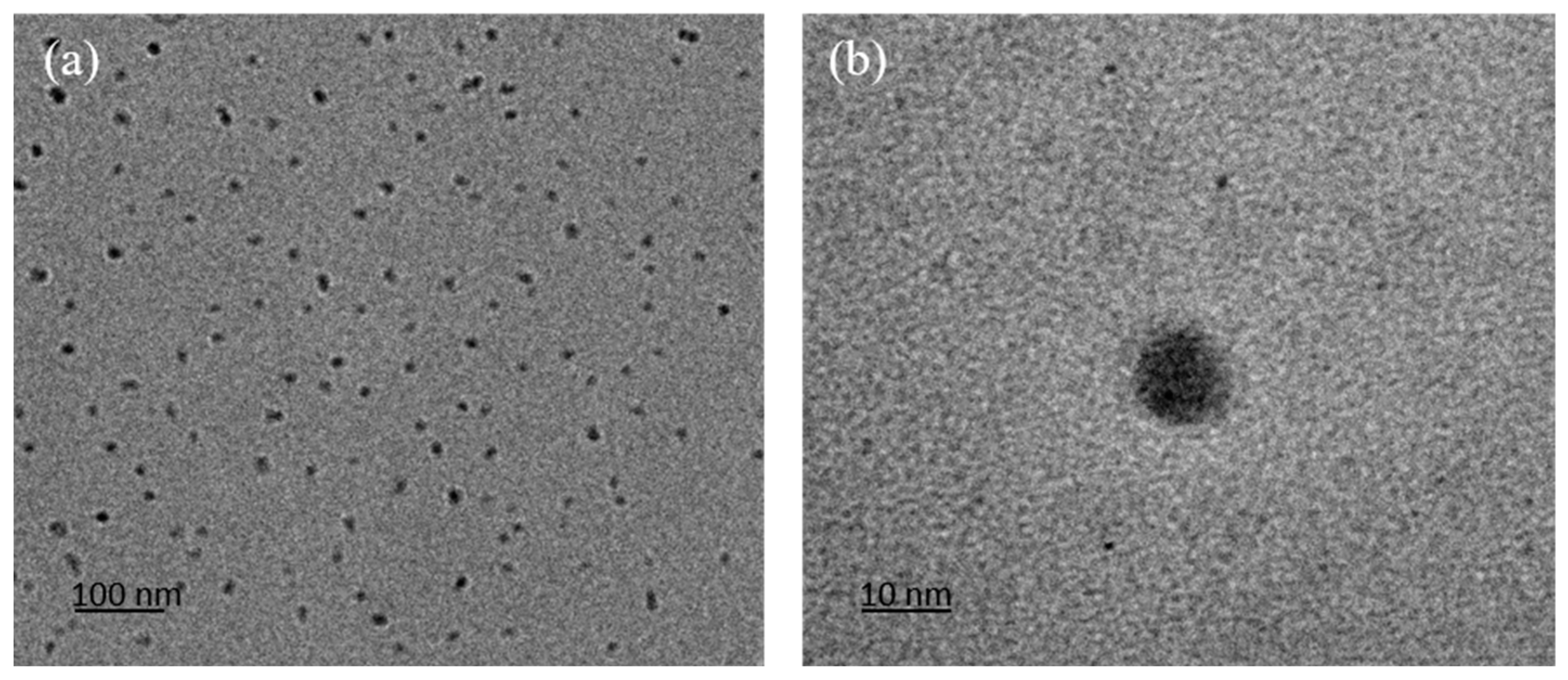 Molecules 29 04583 g005